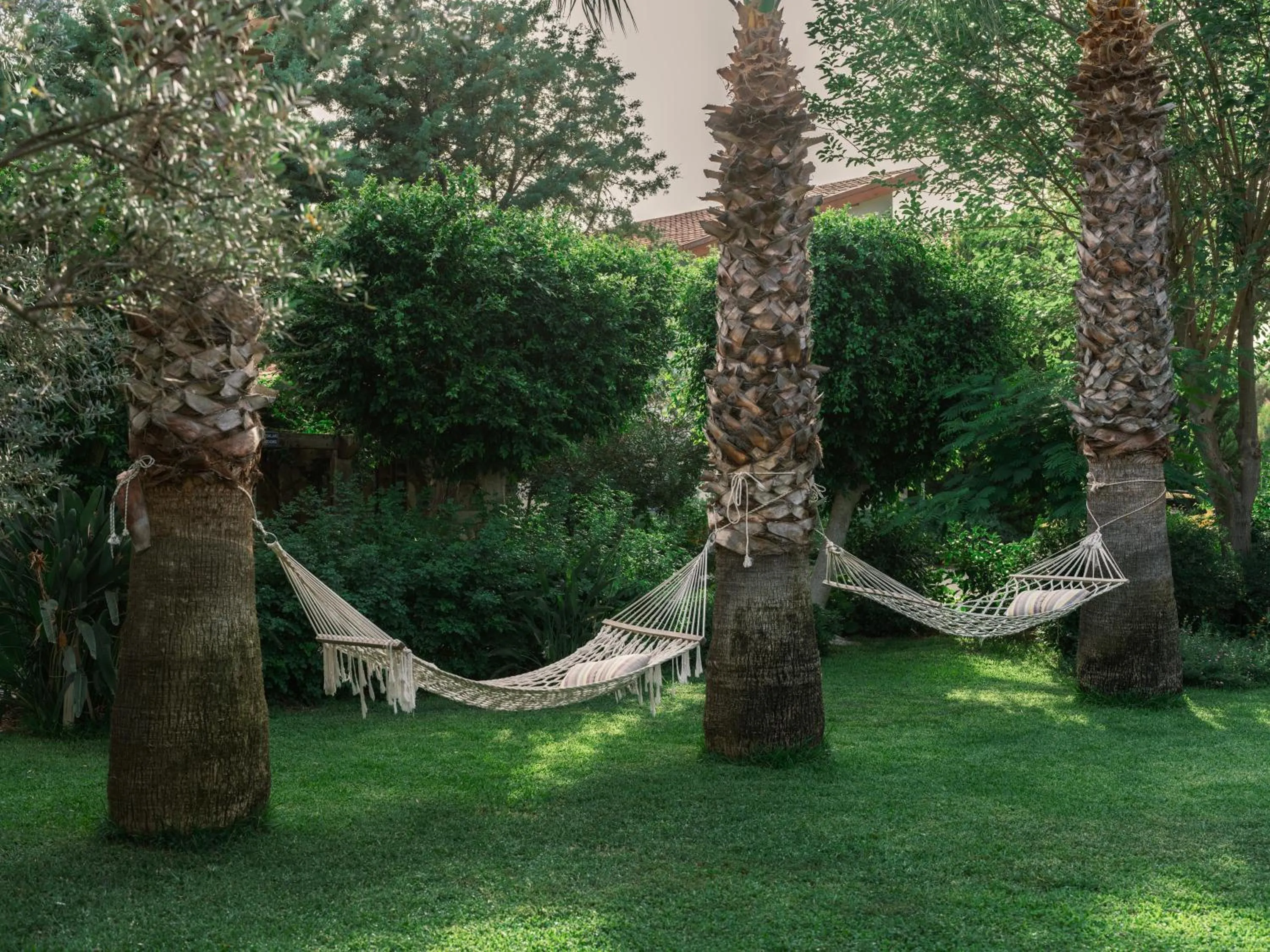 Garden in Flow Datca Surf & Beach Hotel