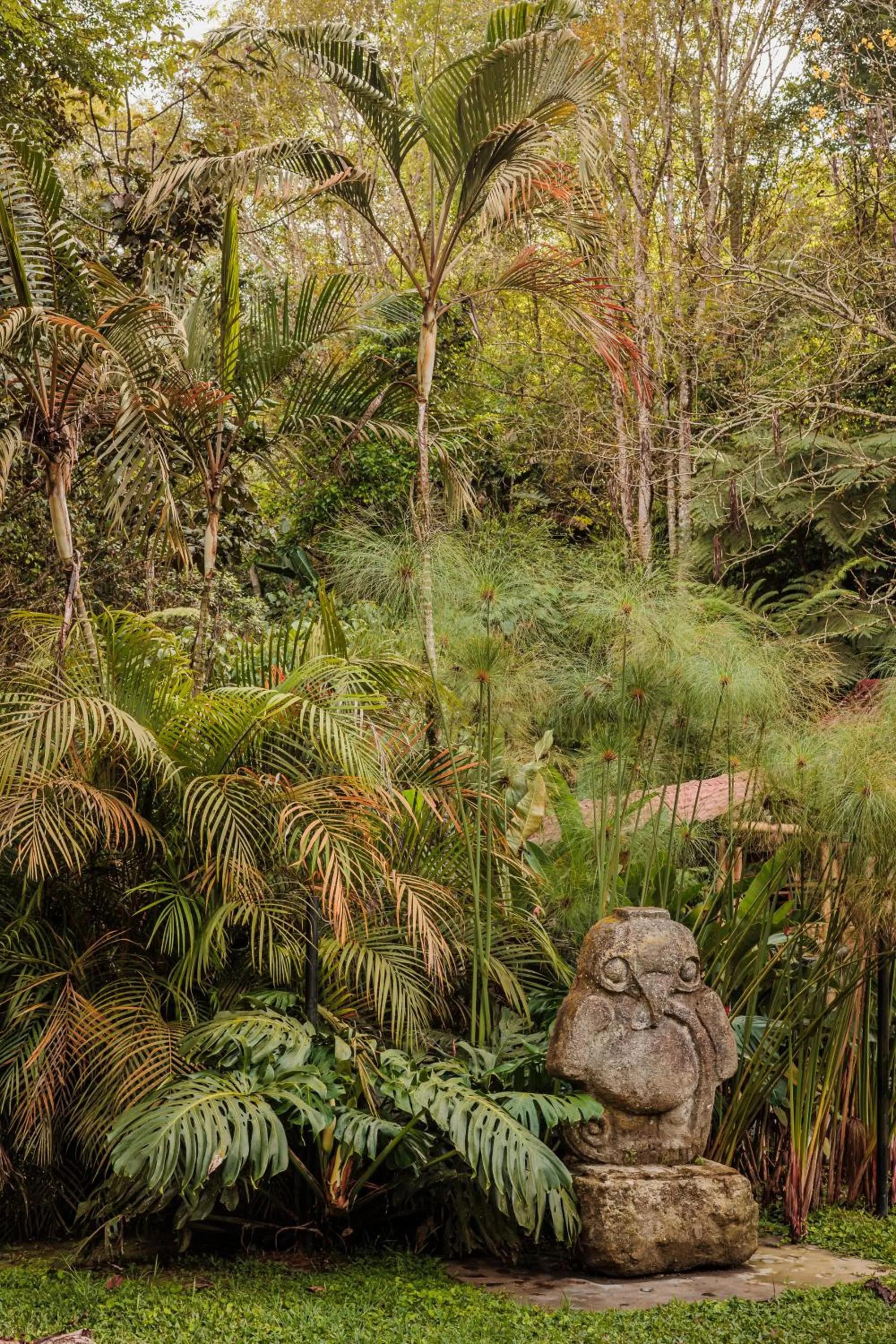 Off site in Ecohotel Piedemonte