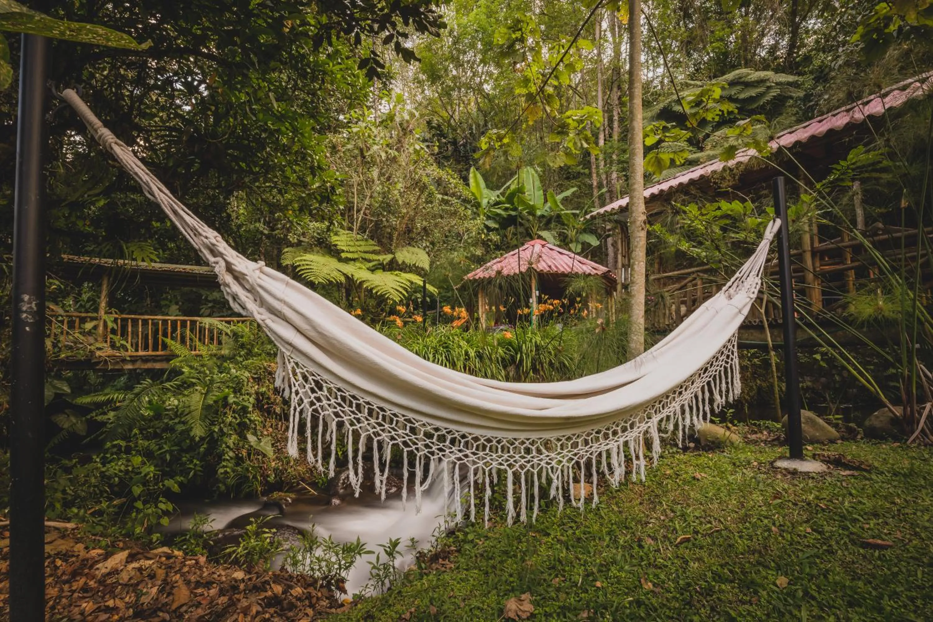 Natural landscape in Ecohotel Piedemonte