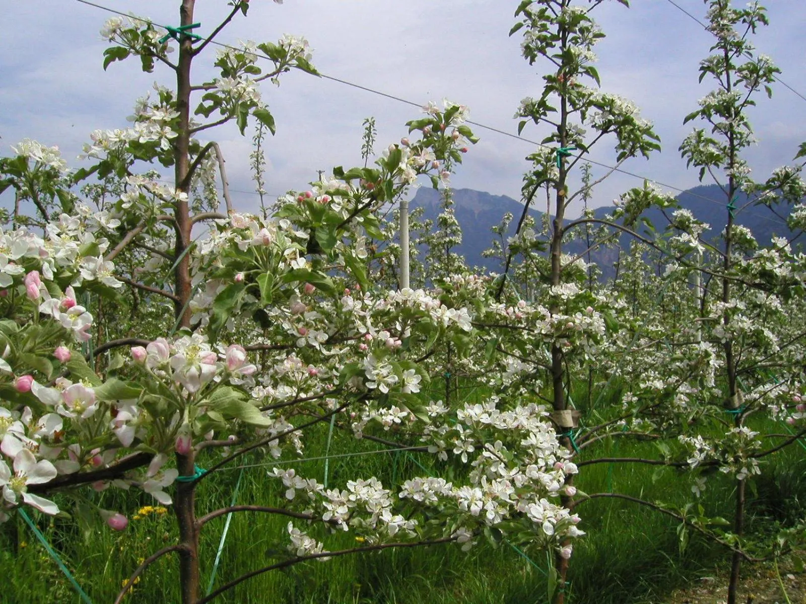 Other in Energy Hotel