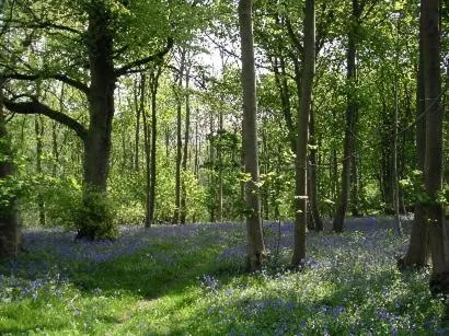 Cools Farm B&B + Cottages