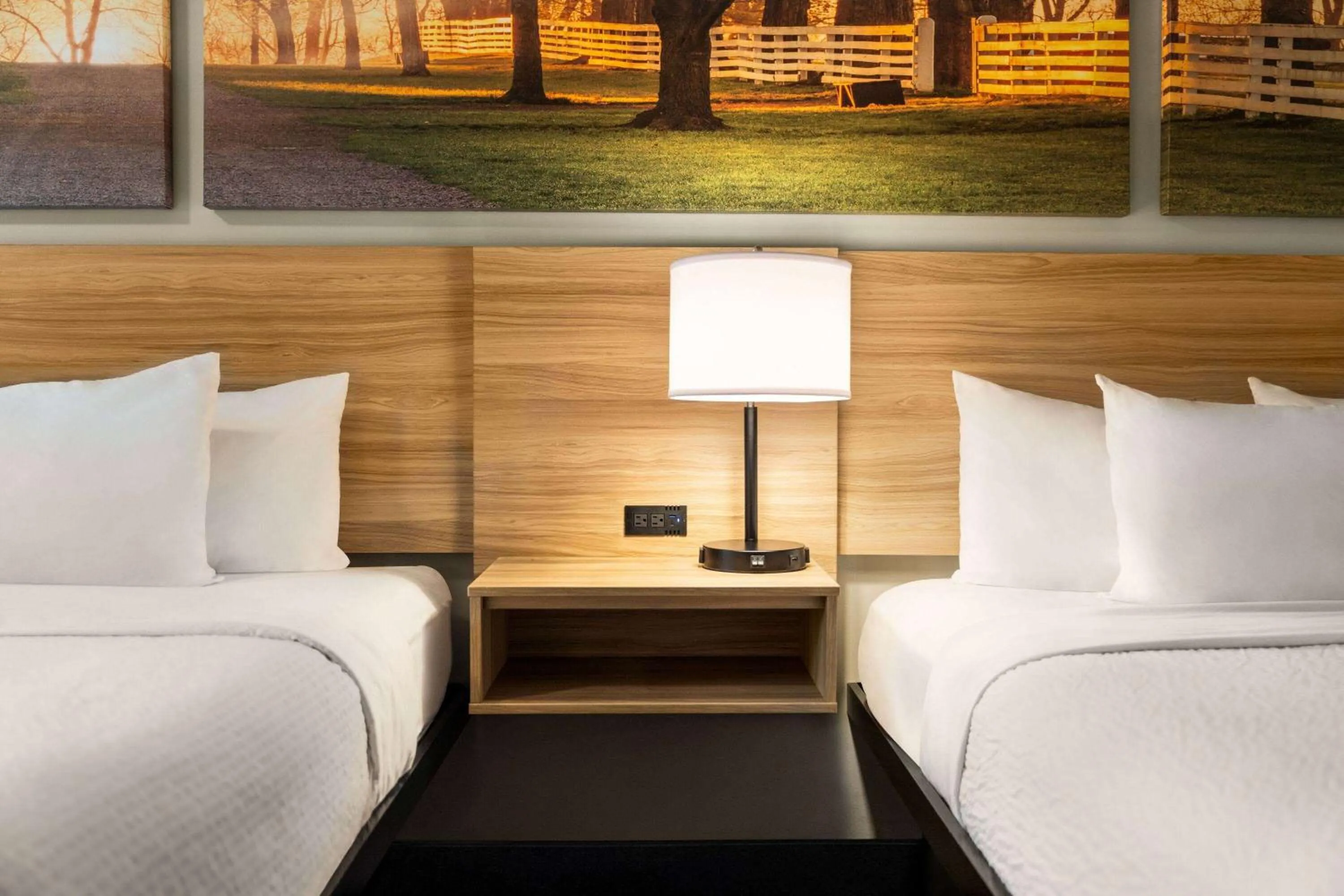 Photo of the whole room, Bed in Days Inn & Suites by Wyndham Lancaster Amish Country