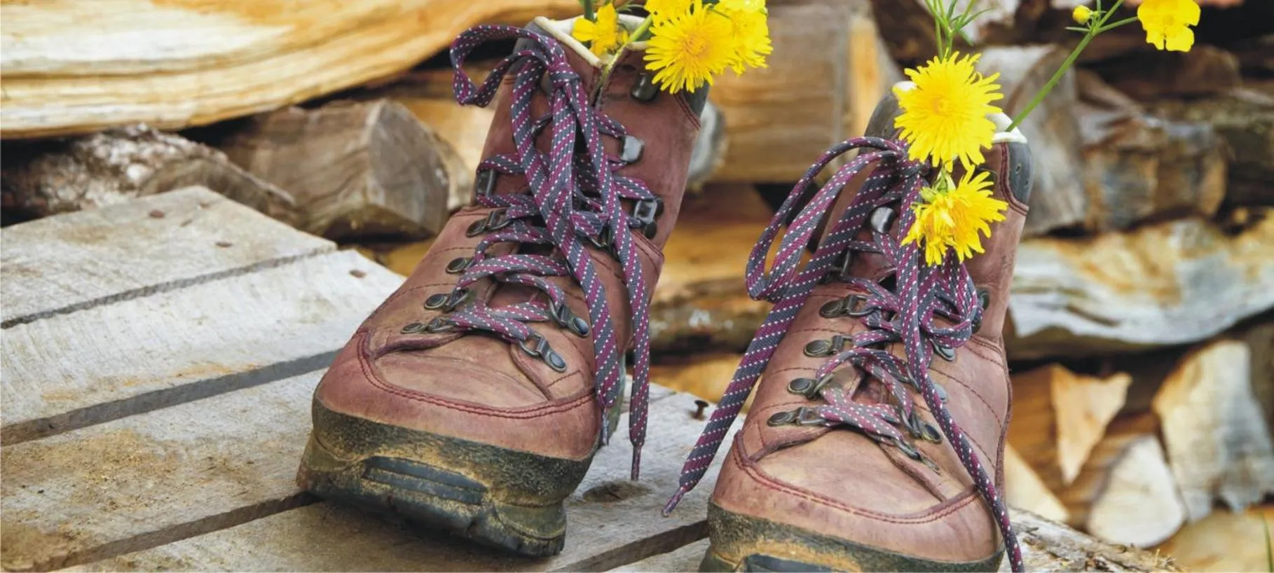 Hiking in Gästehaus Burgblick