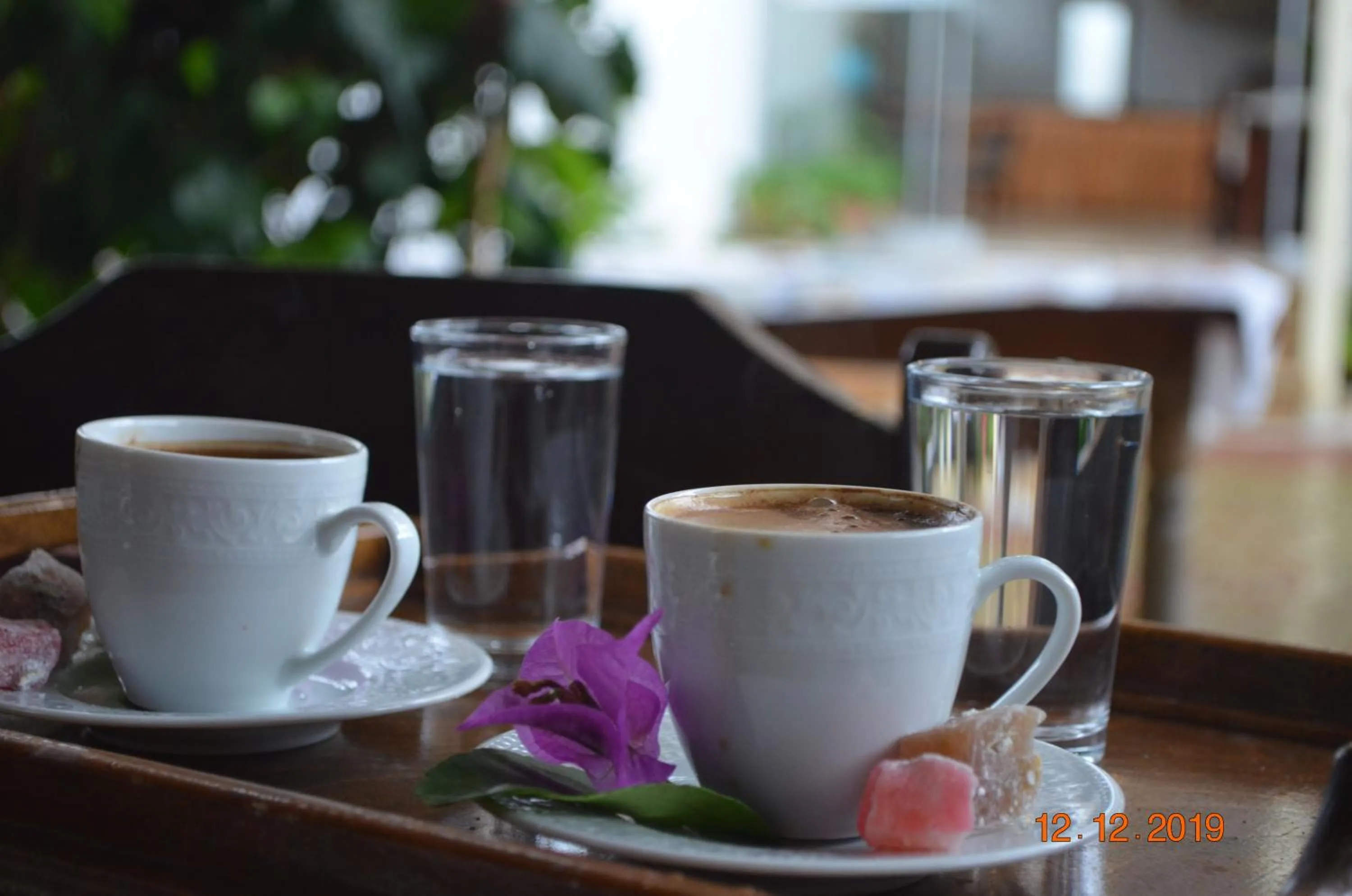 Garden in Hotel Uygar