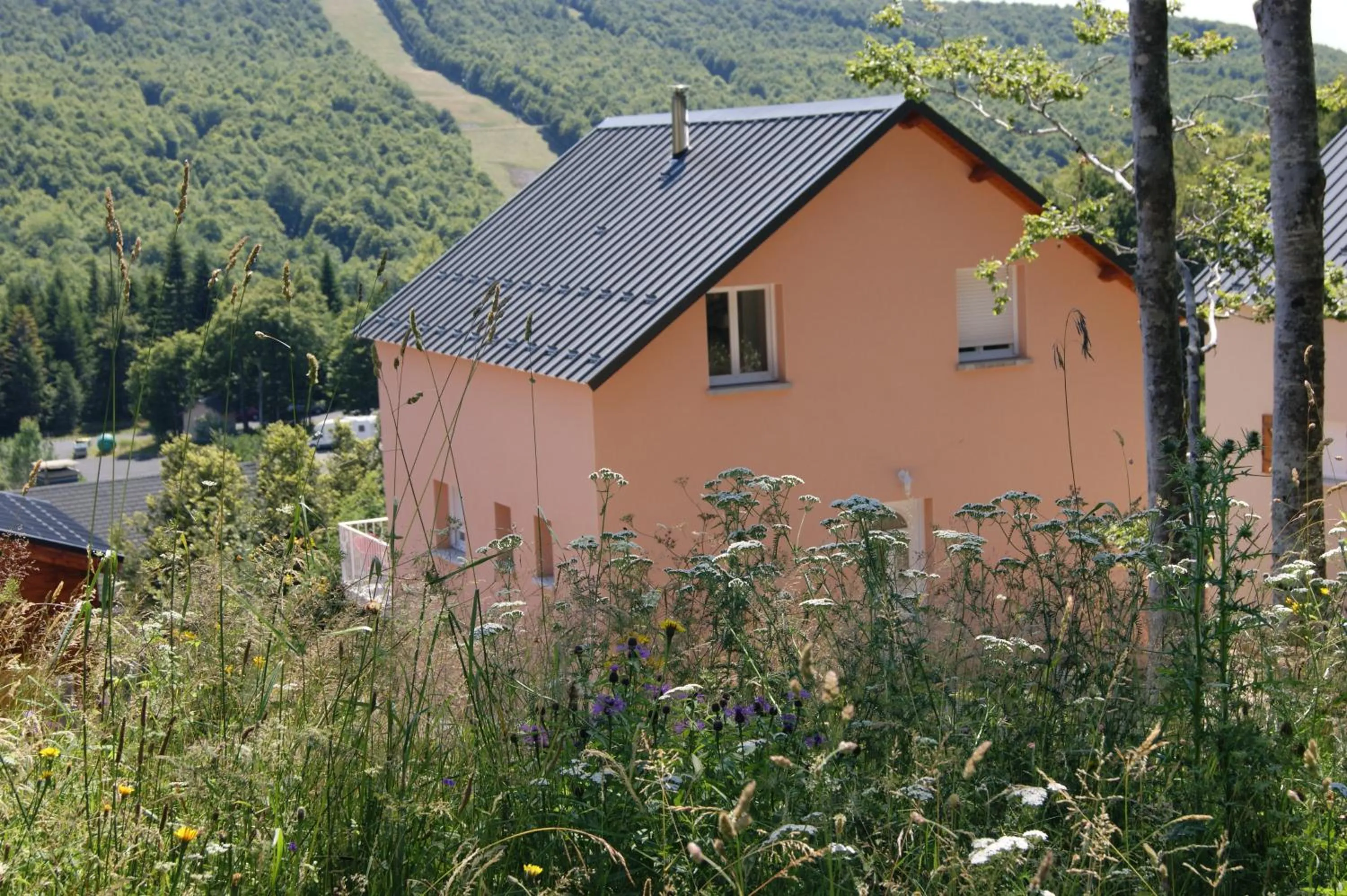 Property building in AUBRAC Spa