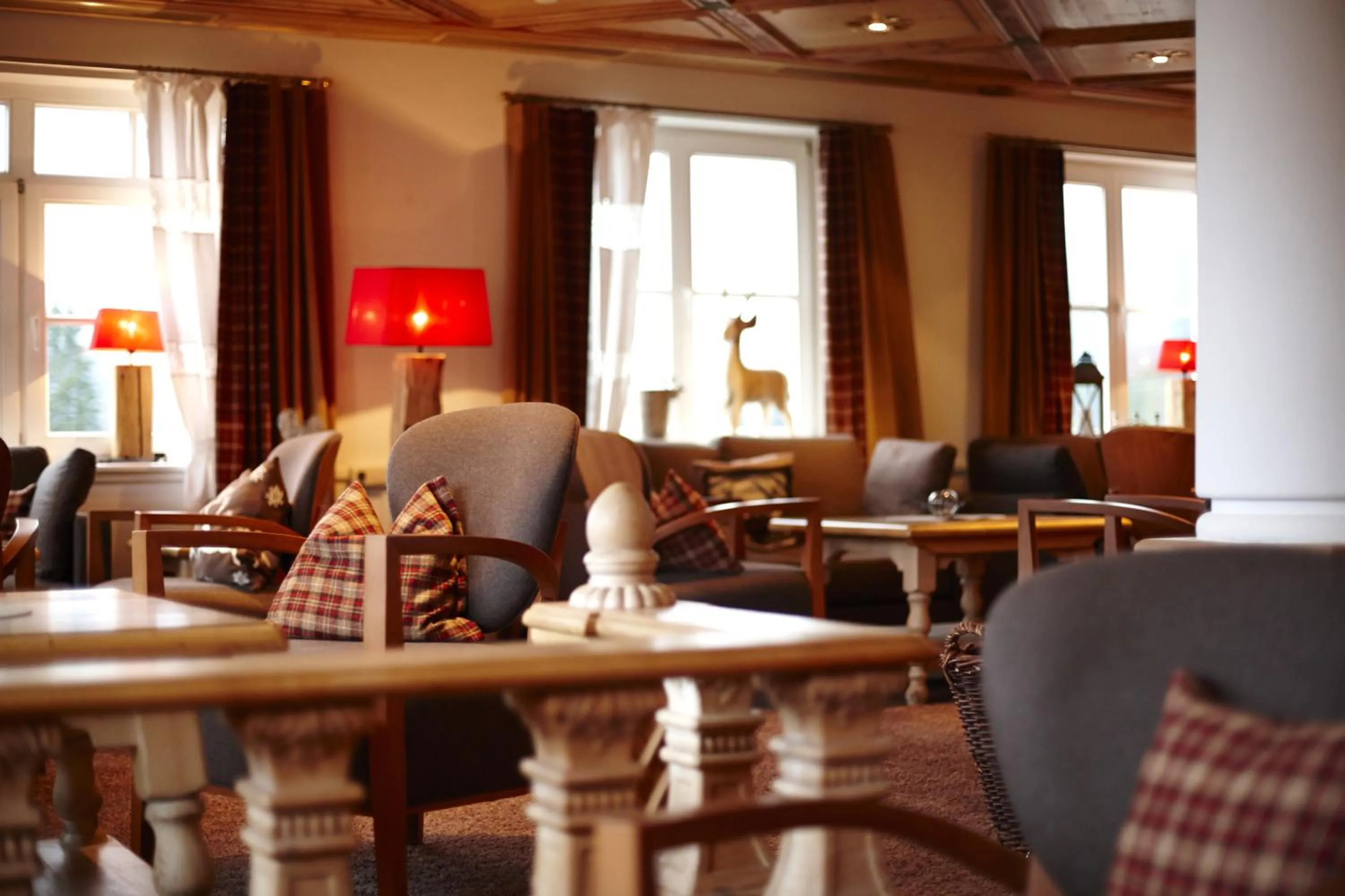 Library in Hotel Sonnenhof