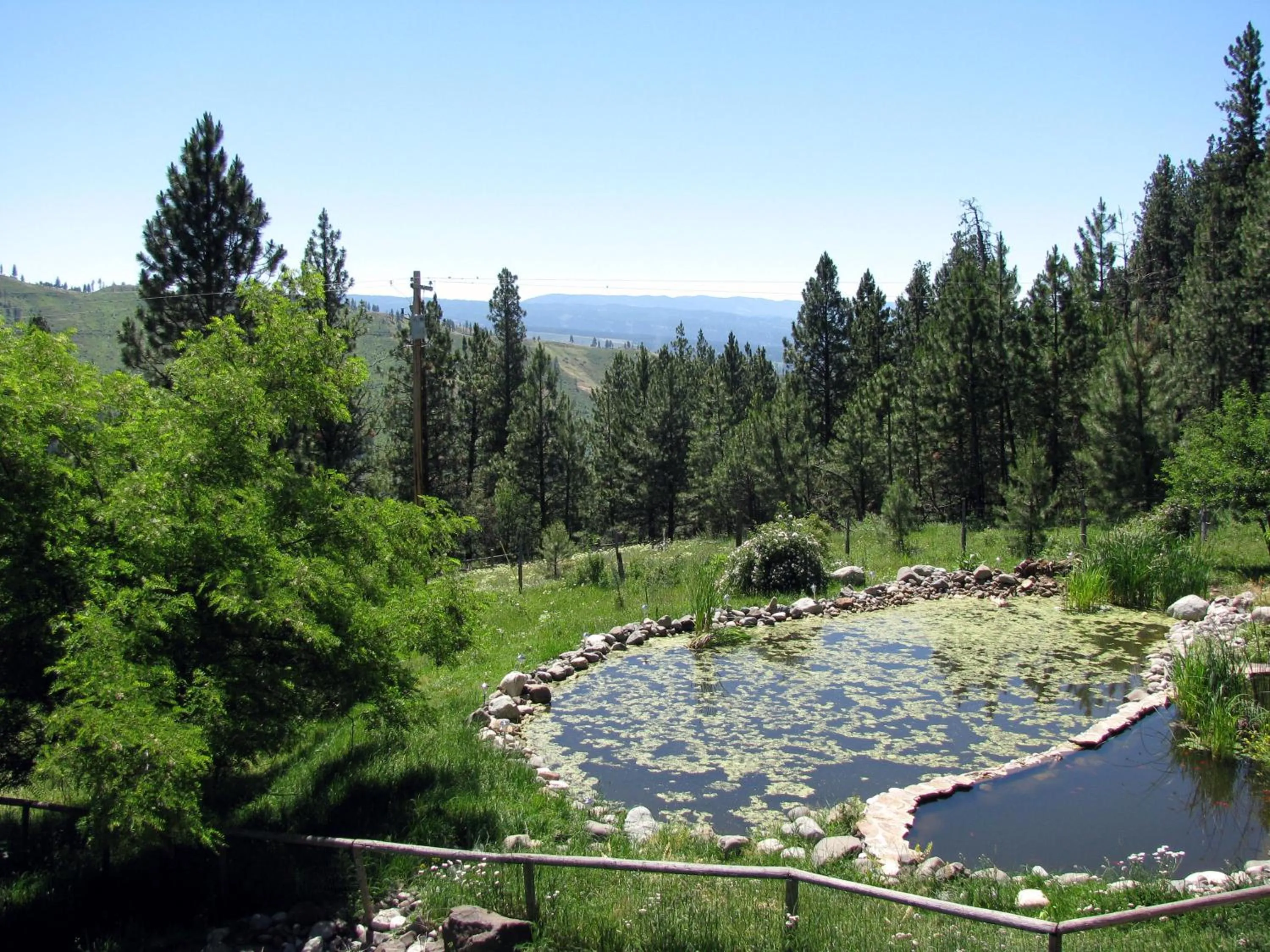 Whitebird Summit Lodge