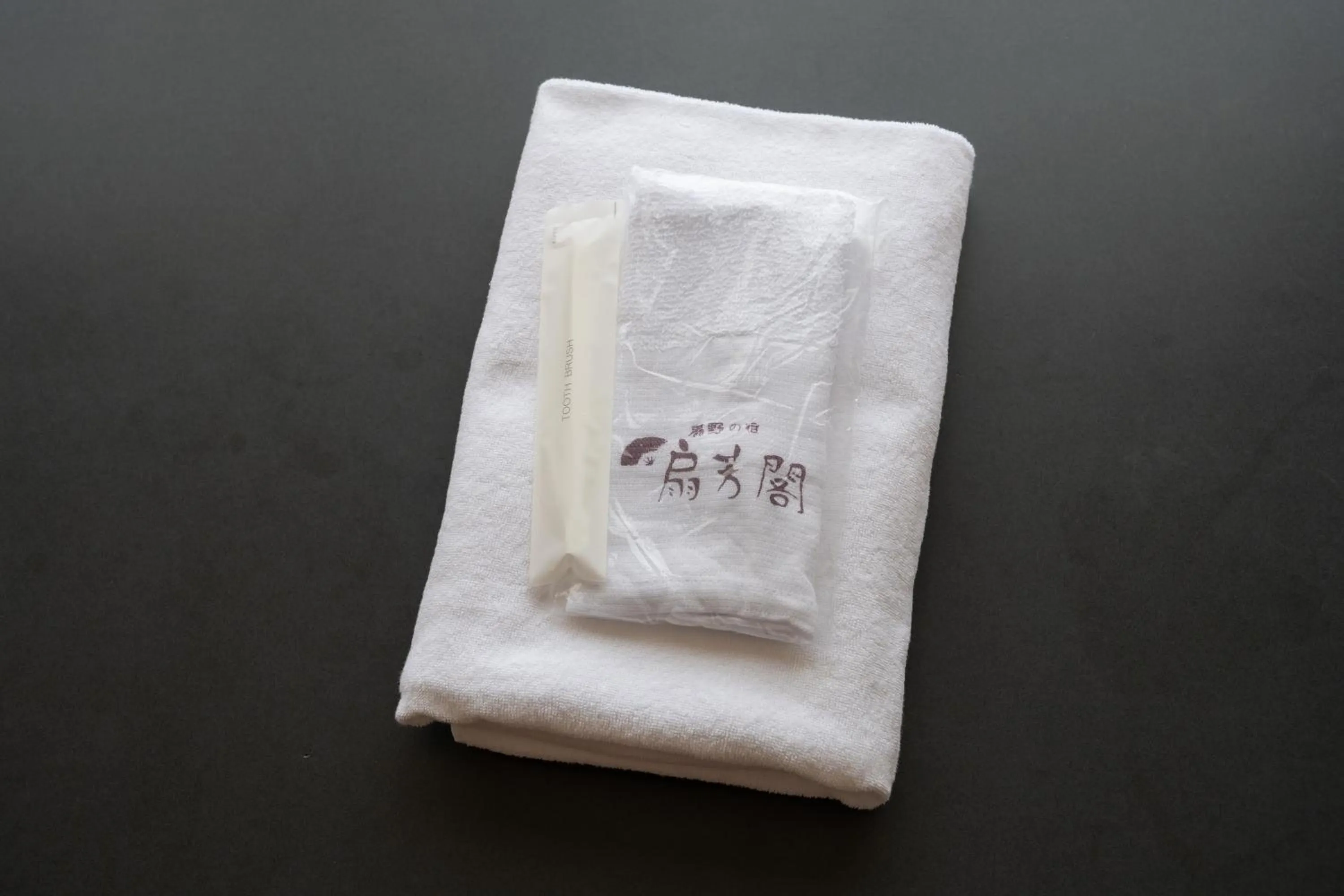 Bathroom in Senpokaku