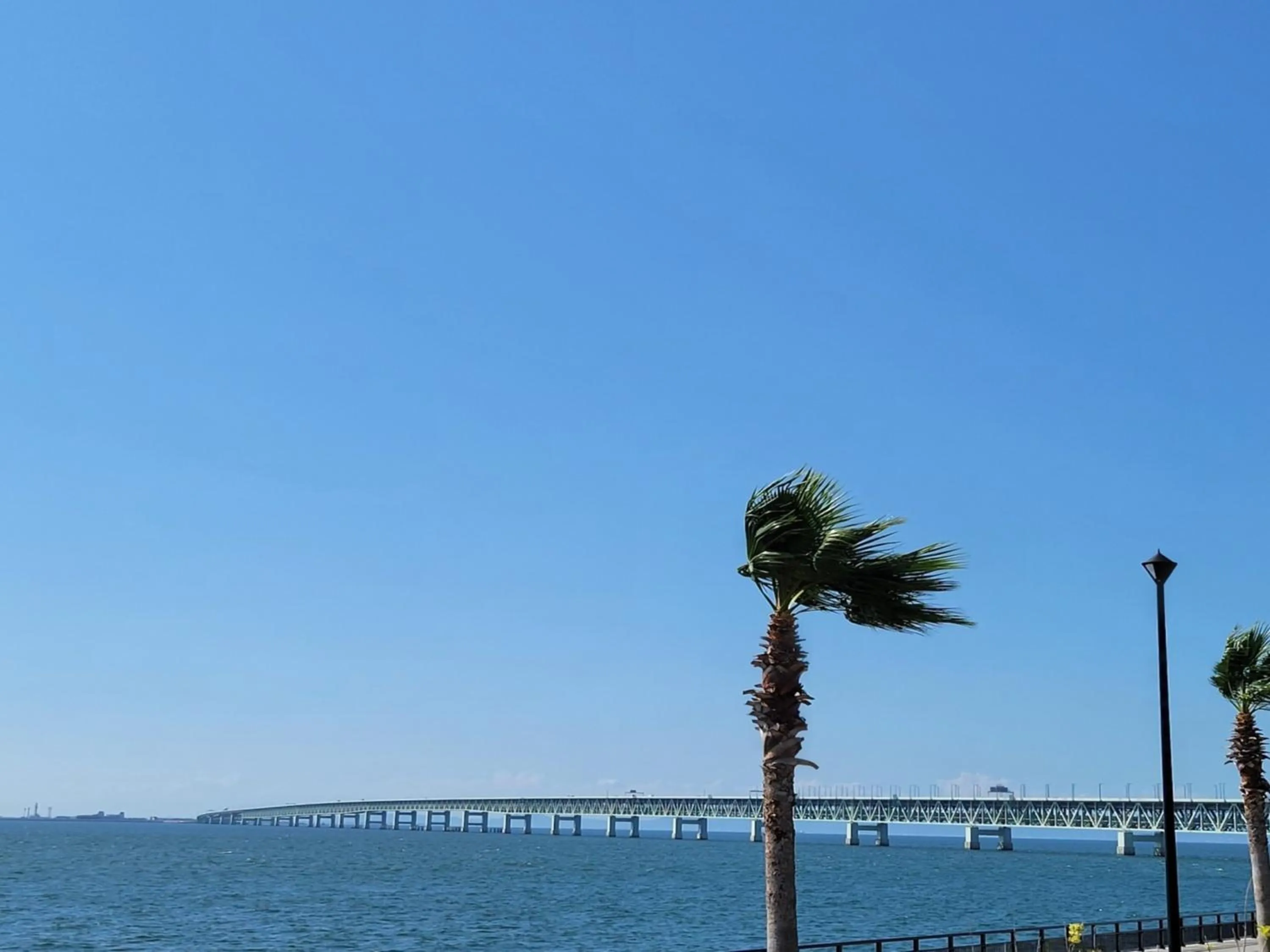 Property building in Kansai Airport Washington Hotel