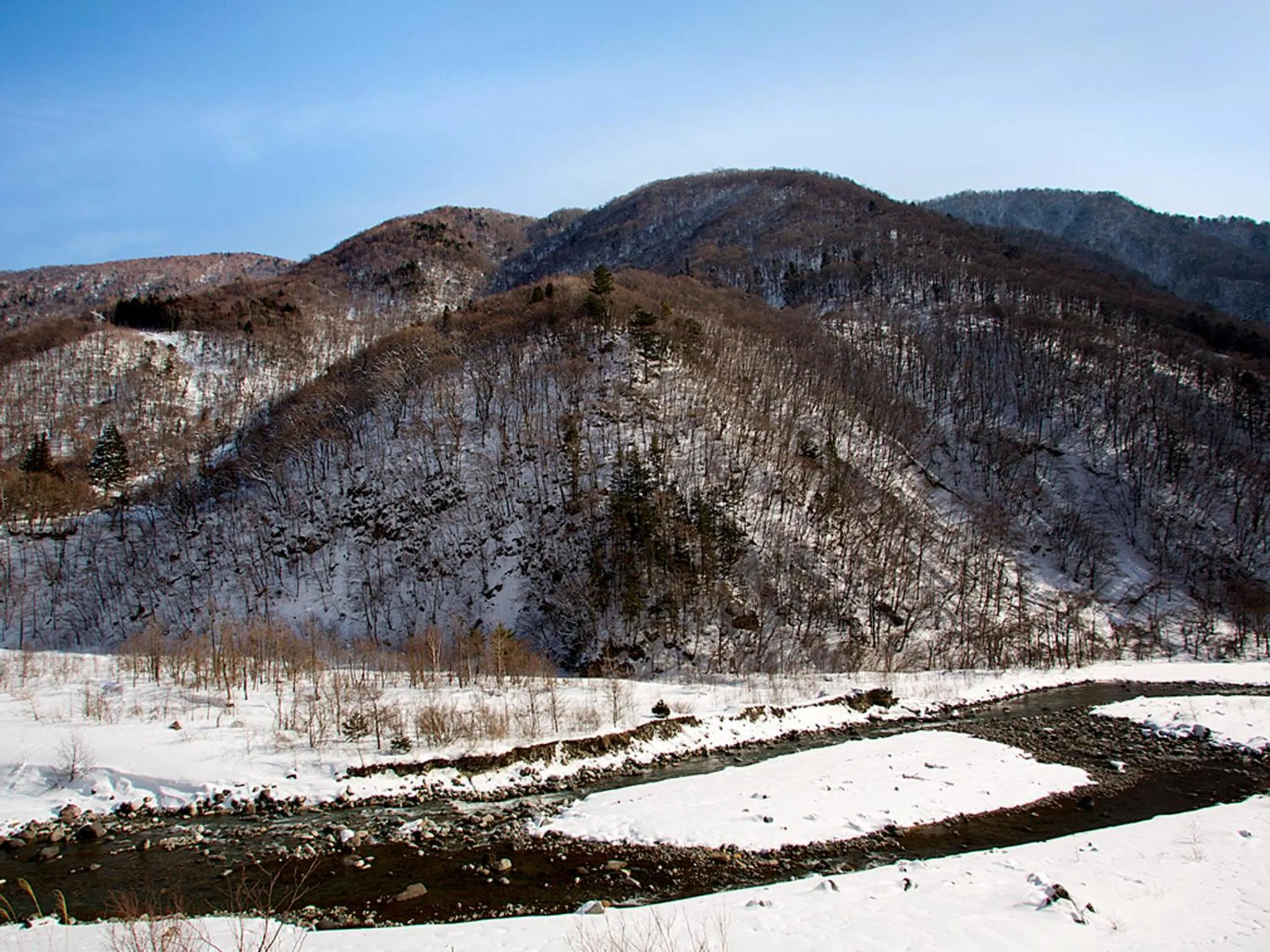 Winter in Yukimurasaki