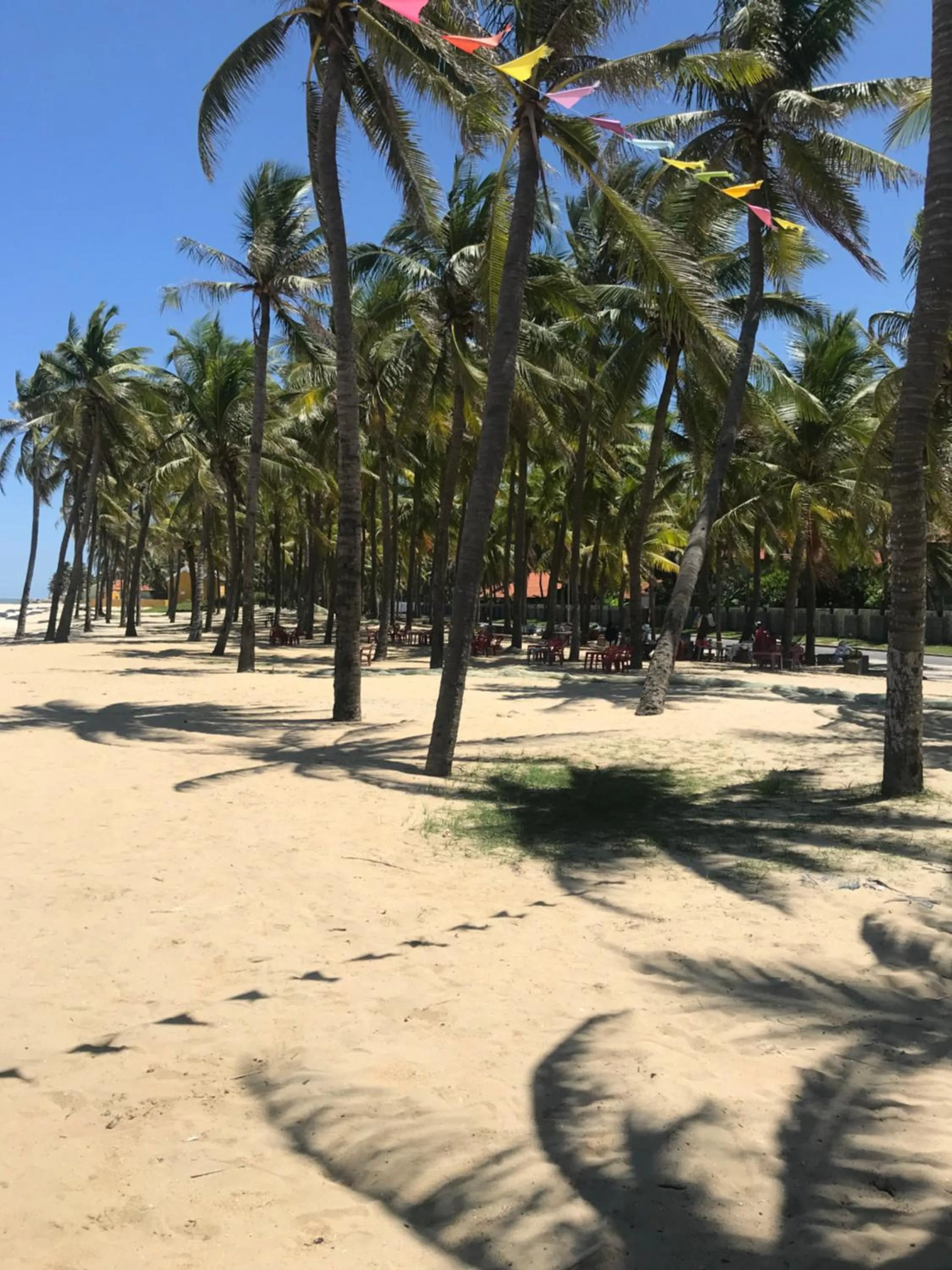 Hoi An beach house