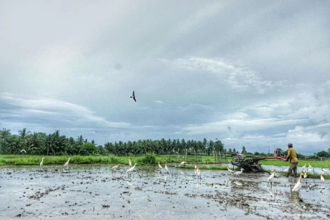 Property building in Pondok Uma Ubud