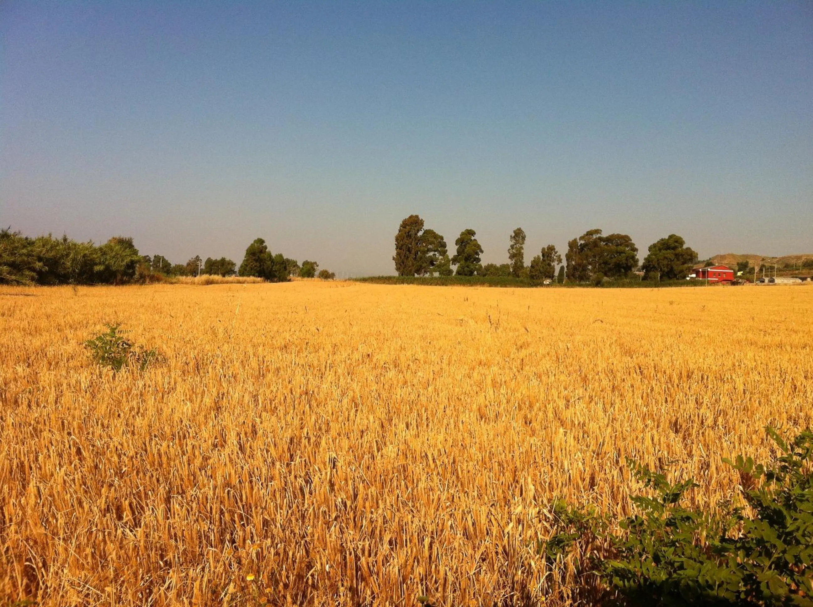 Area and facilities in Hotel Onda Bleu