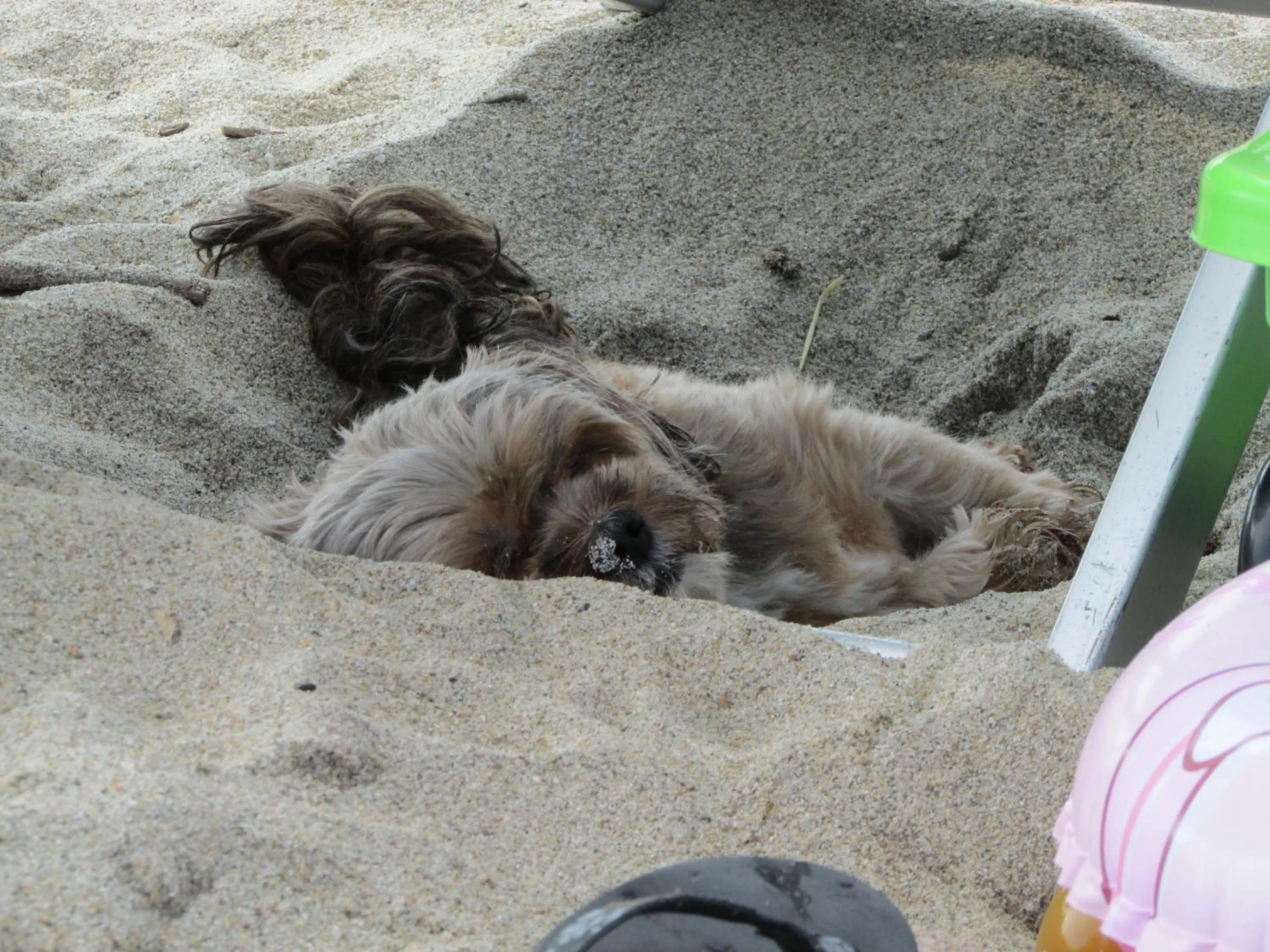 Beach in Hotel Onda Bleu