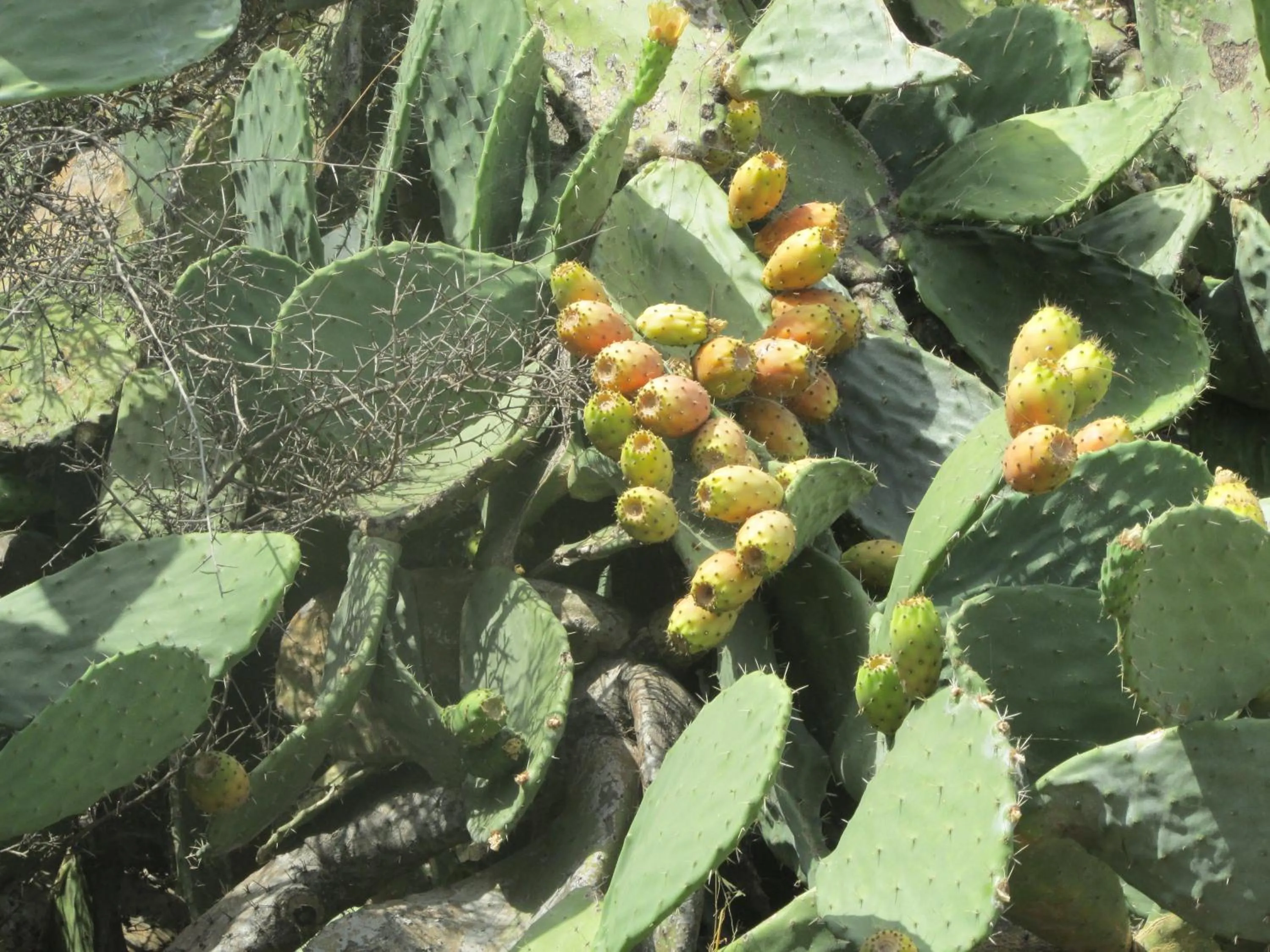 Other in Hotel Onda Bleu