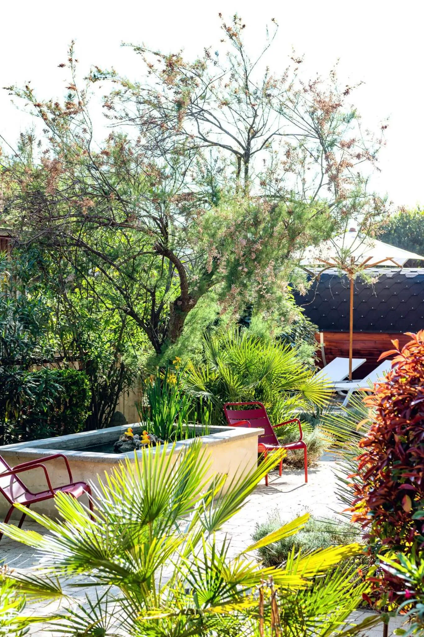 Garden in Hotel de La Plage
