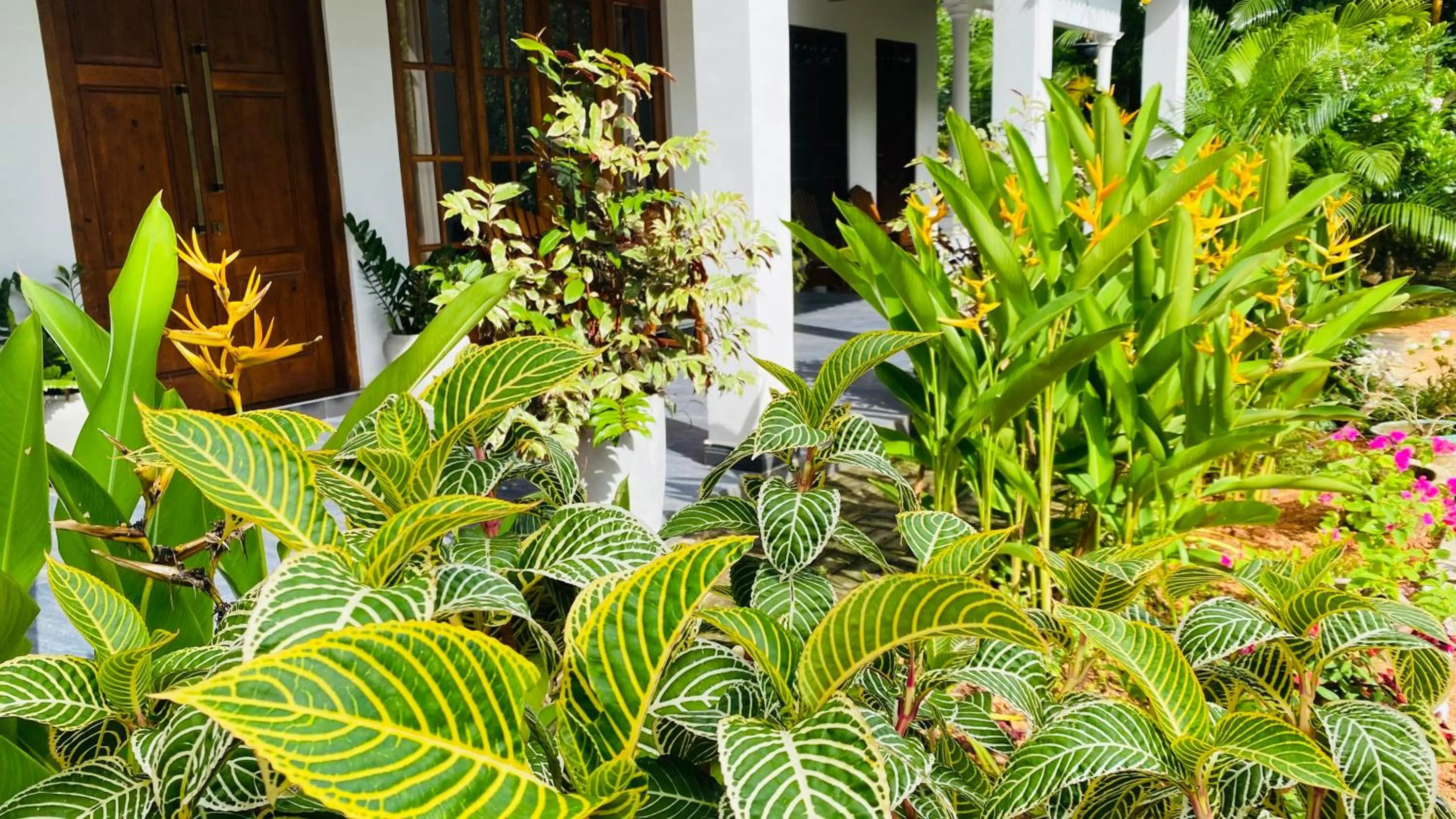 Property building in Fairview Dill homestay