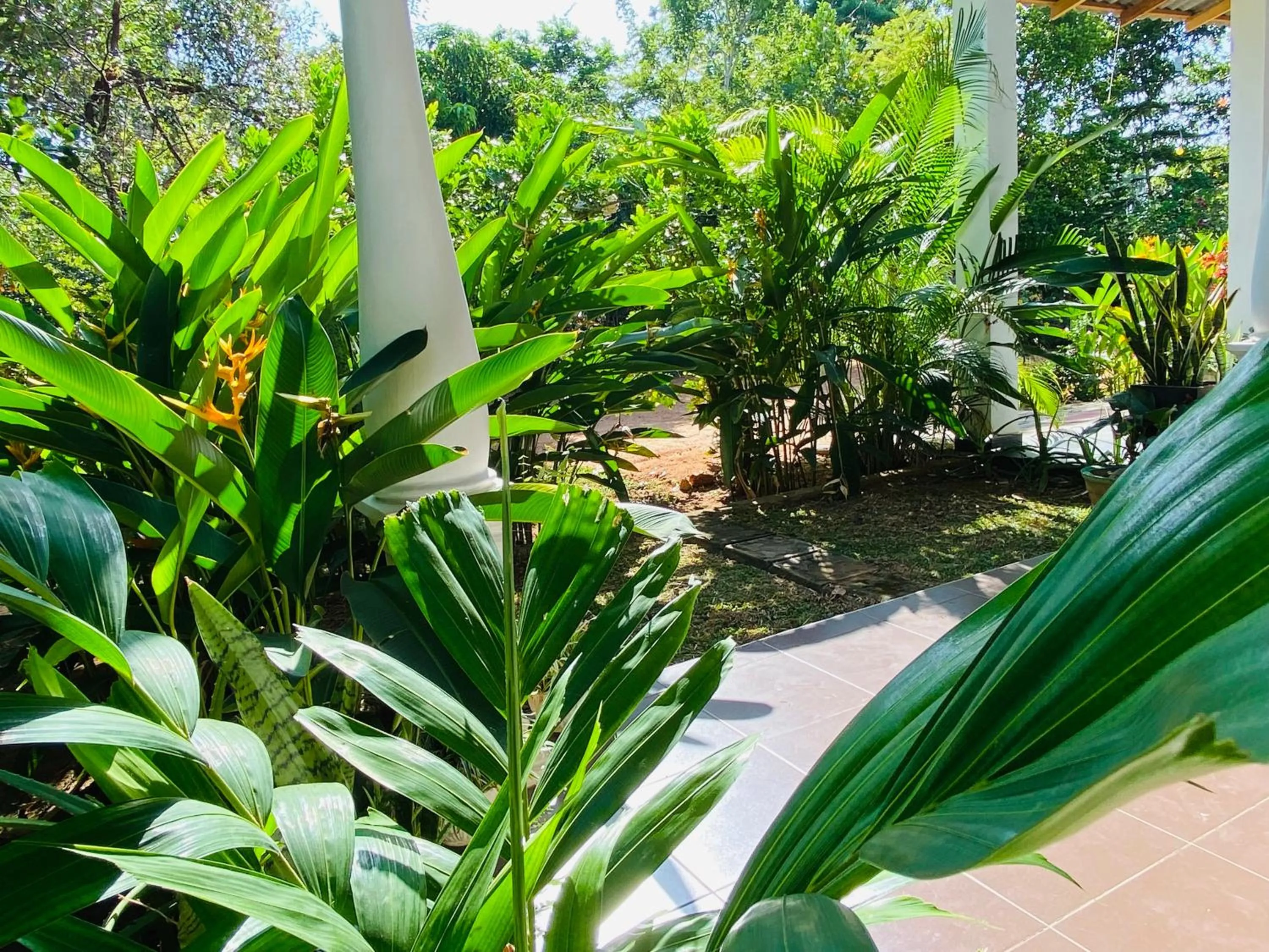 View (from property/room) in Fairview Dill homestay