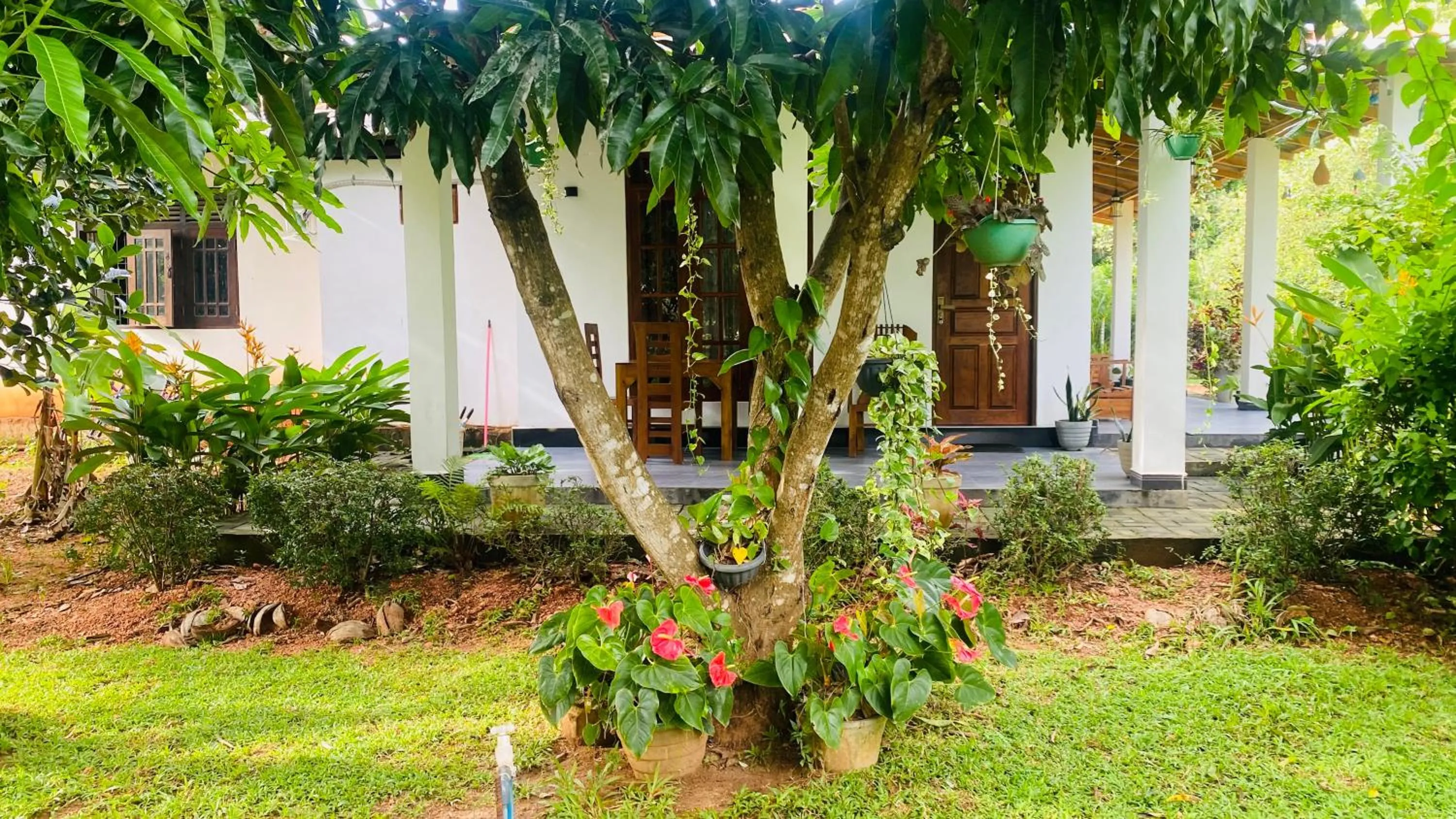 Patio in Fairview Dill homestay