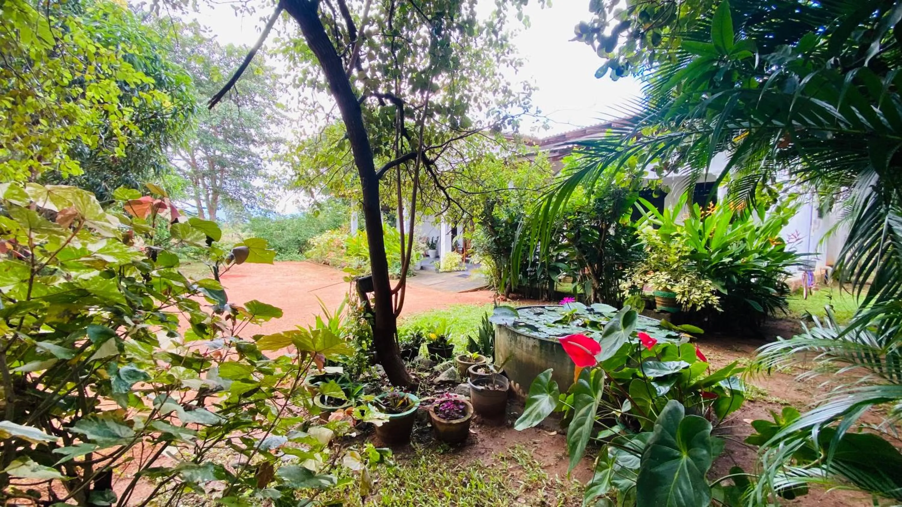 Property building in Fairview Dill homestay