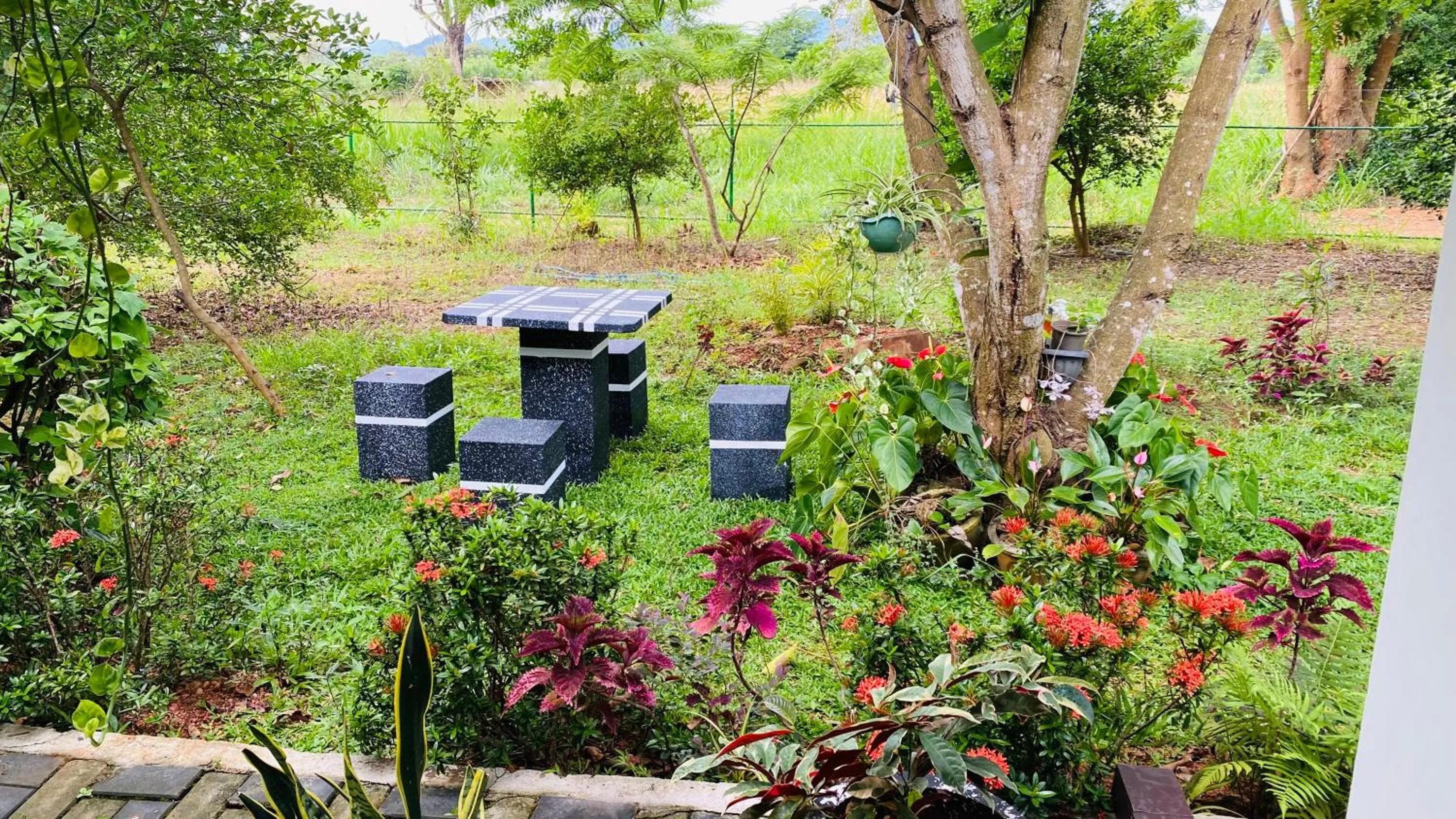 Garden in Fairview Dill homestay