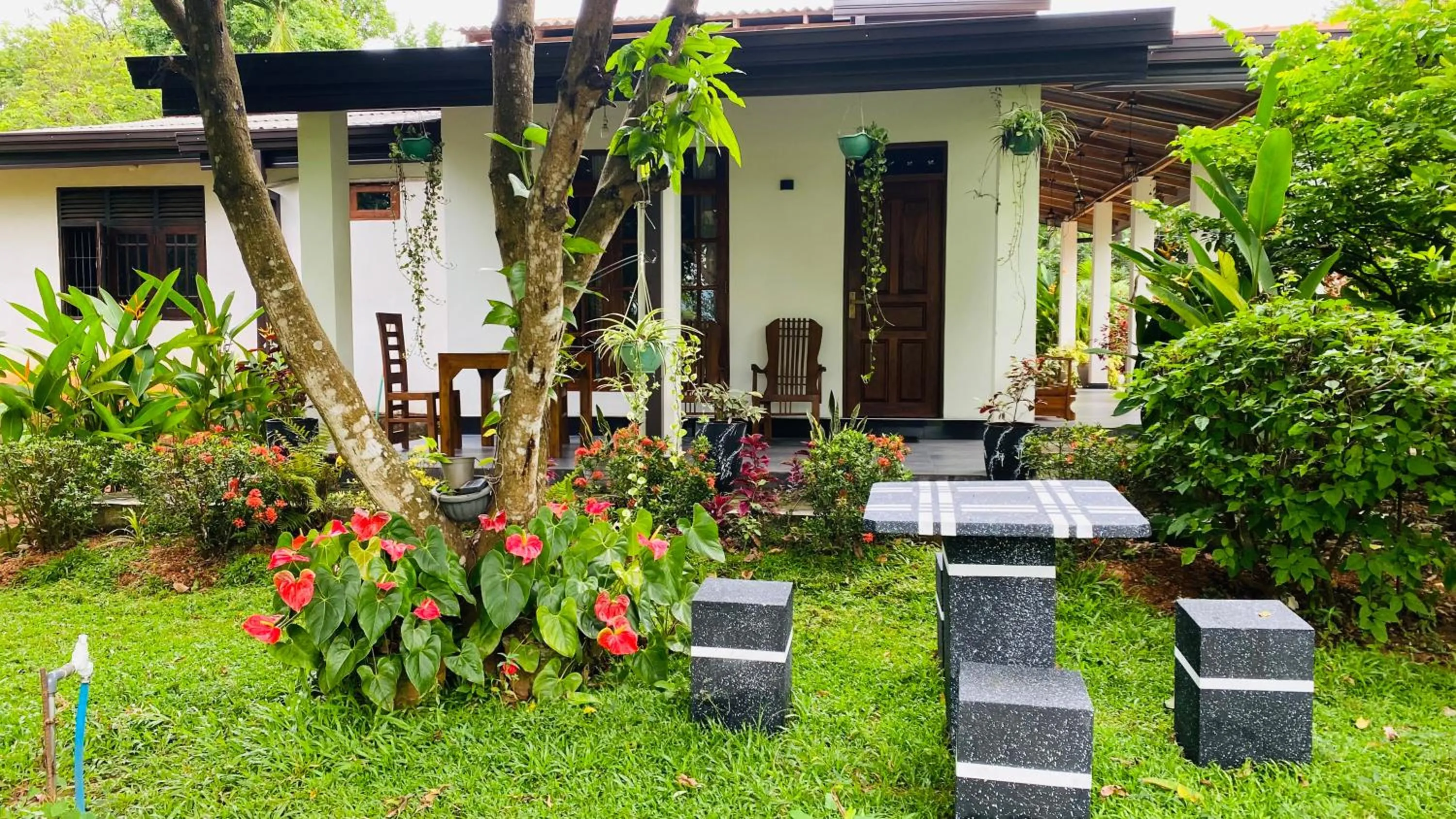 Property building in Fairview Dill homestay