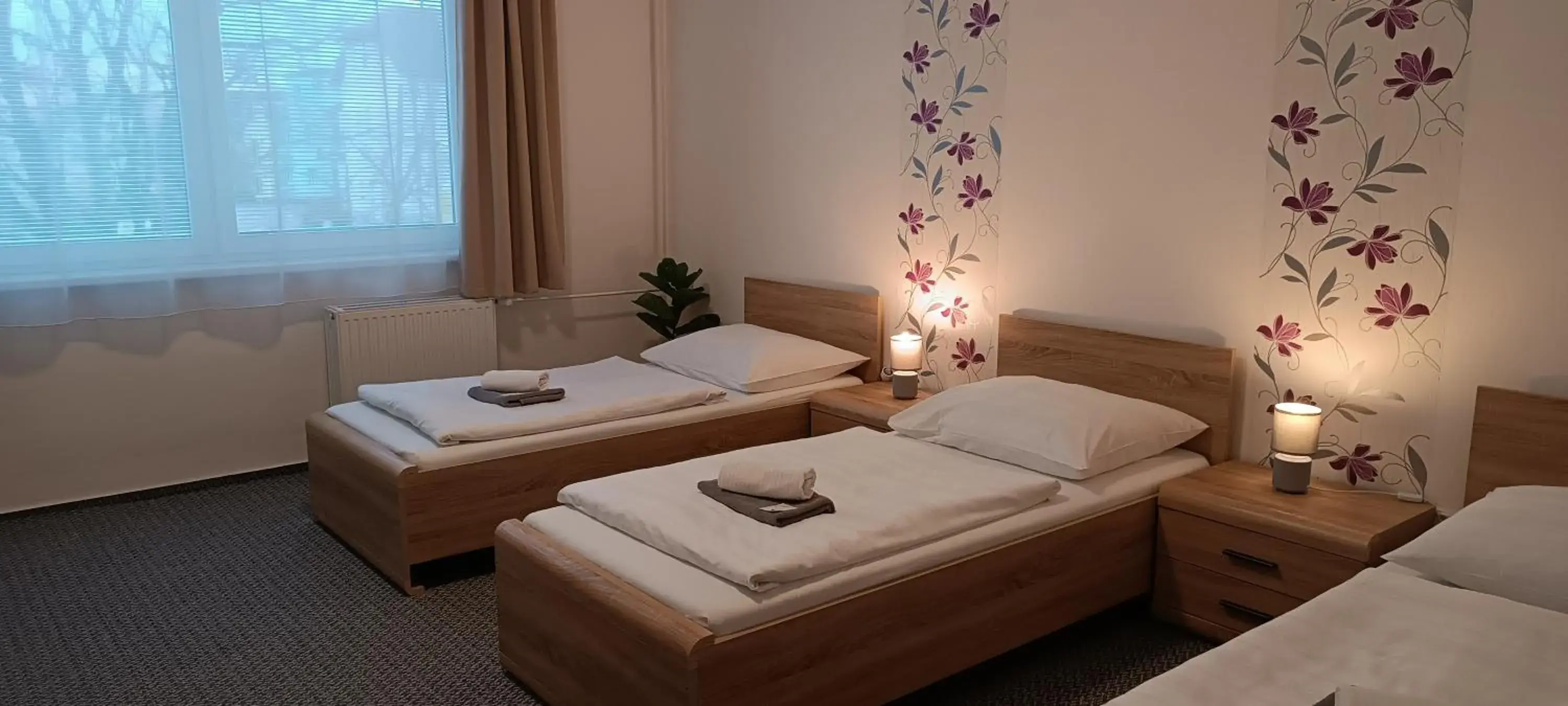 Triple Room - single occupancy in Penzion Starr Triple Room - single occupancy in Penzion Starr