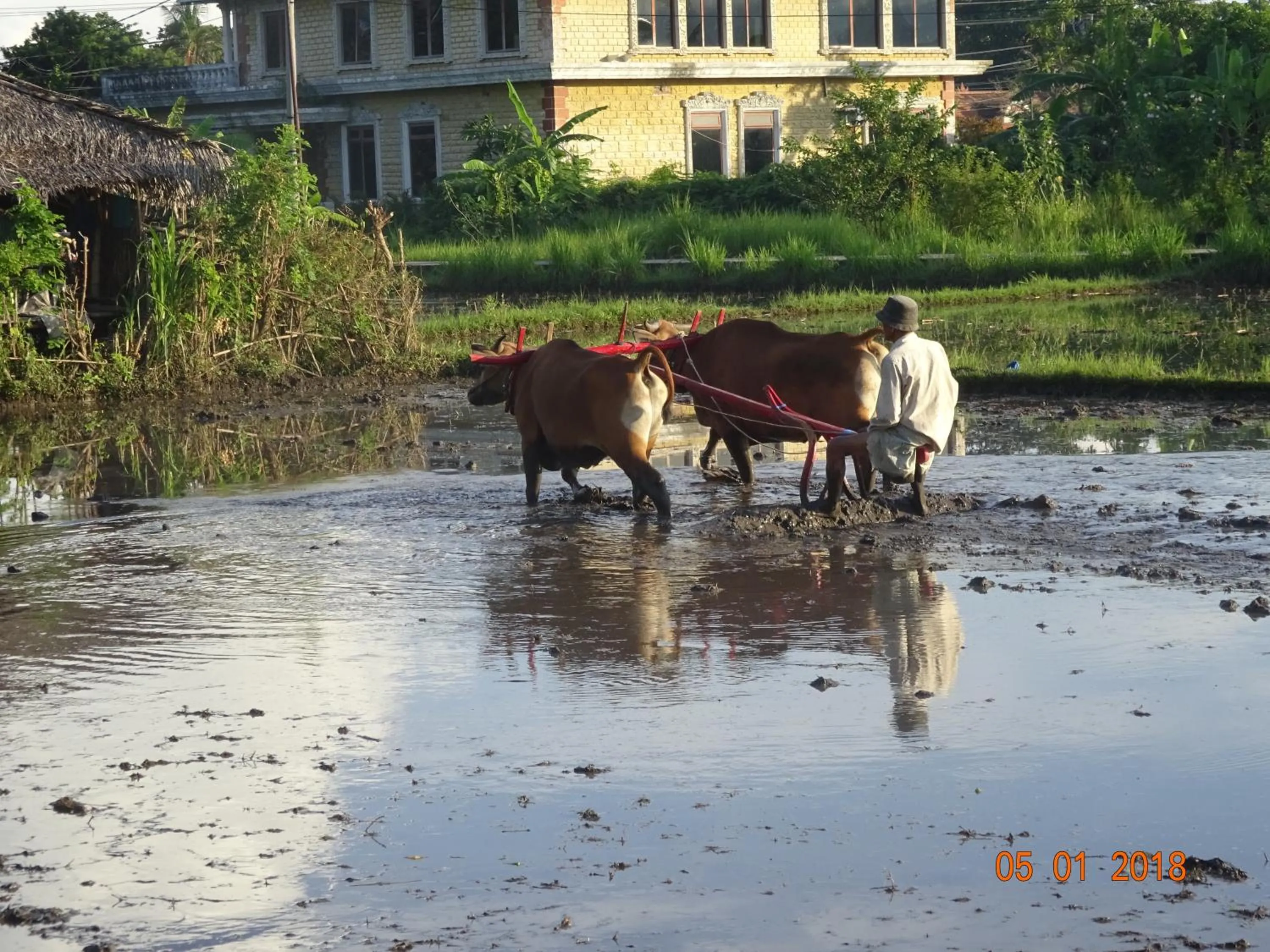 Property building in Murnis Bungalow