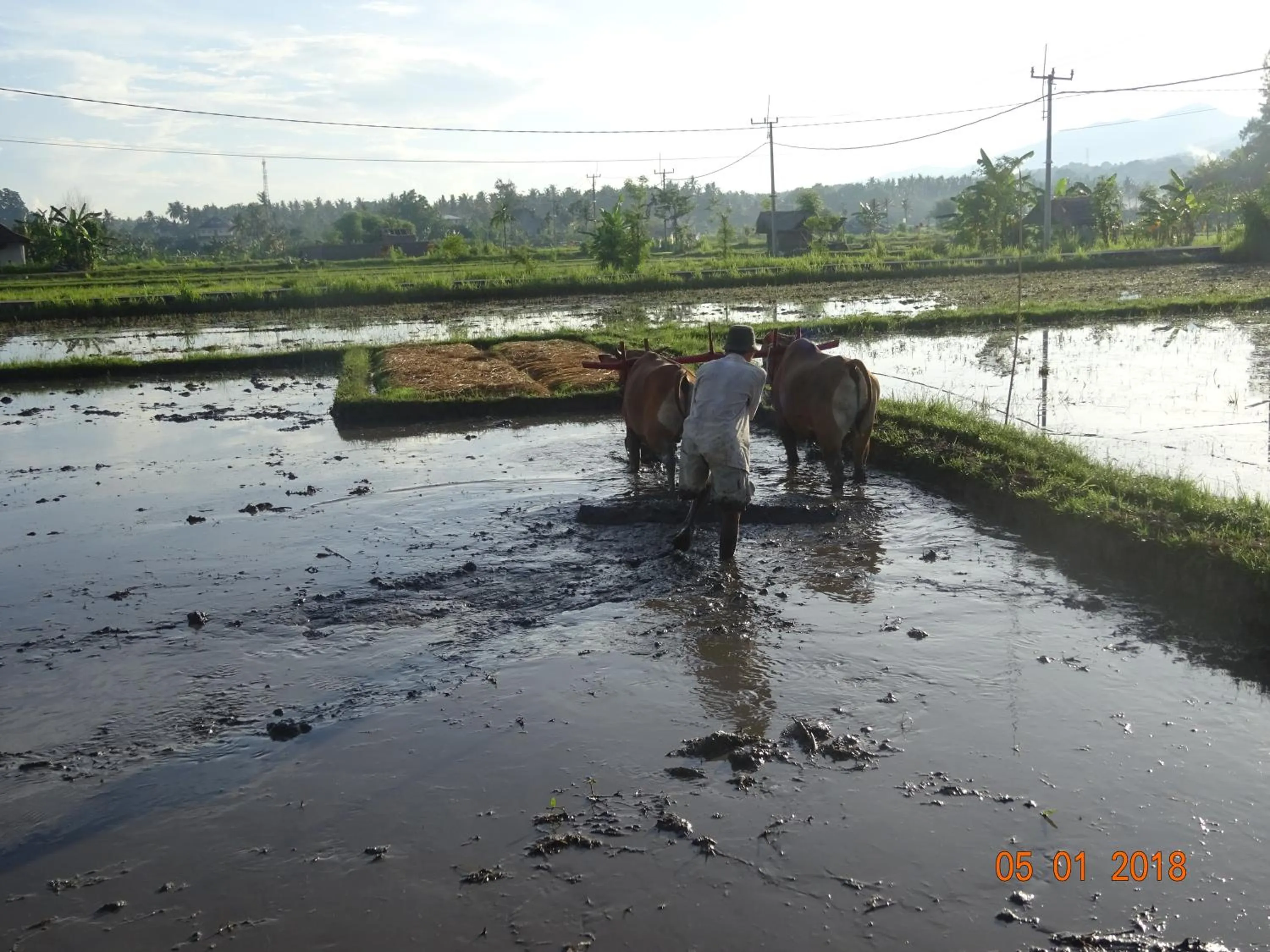 Property building in Murnis Bungalow