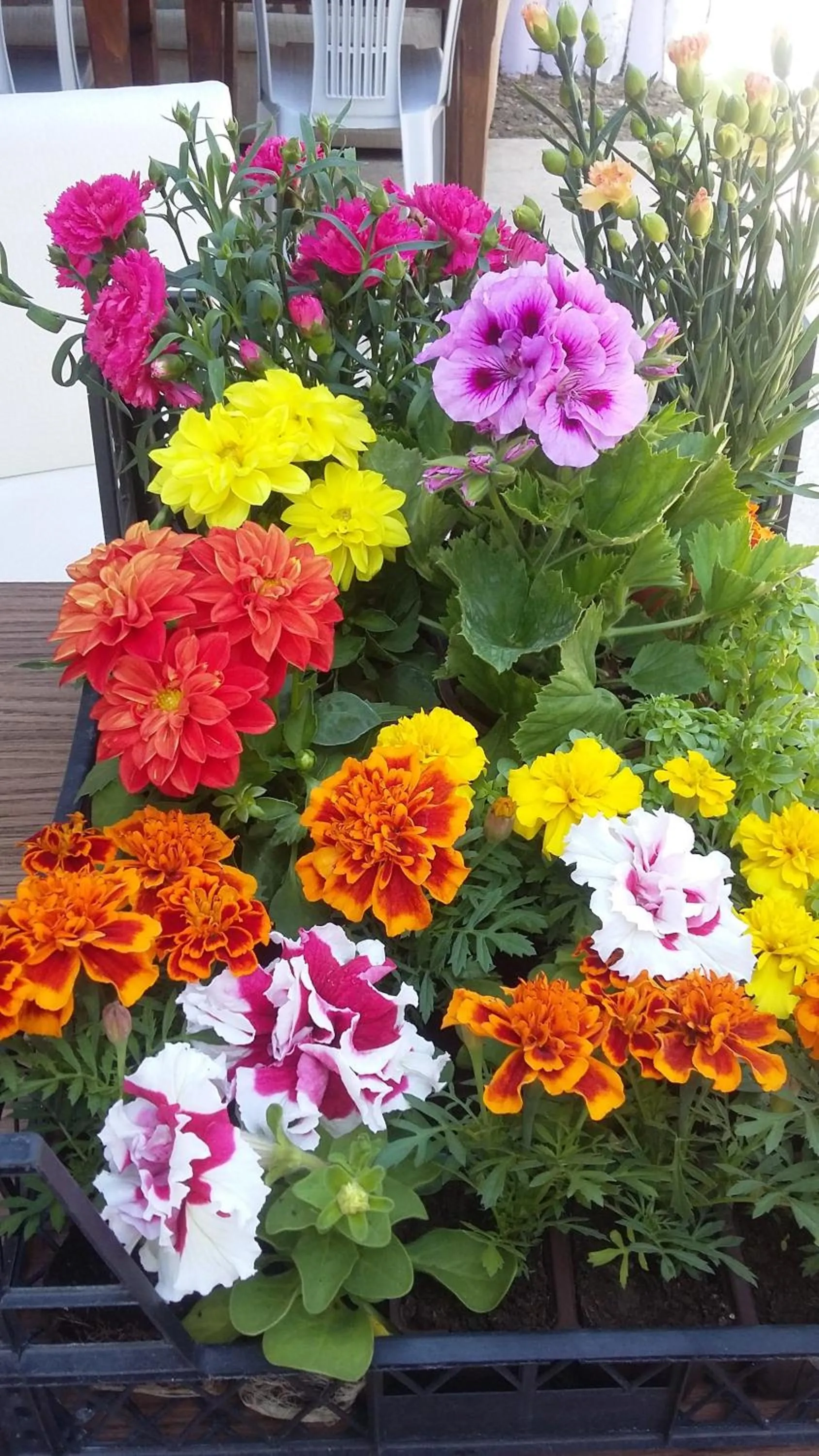 Nimet Hanım Konağı