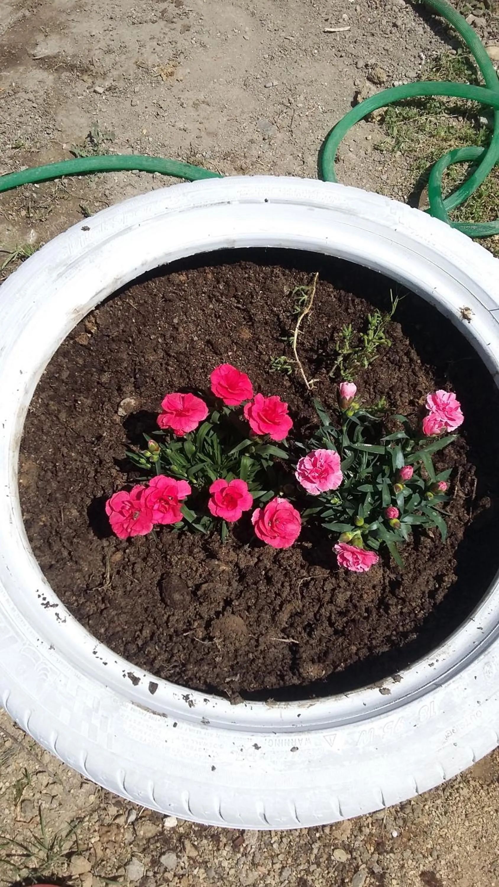 Nimet Hanım Konağı