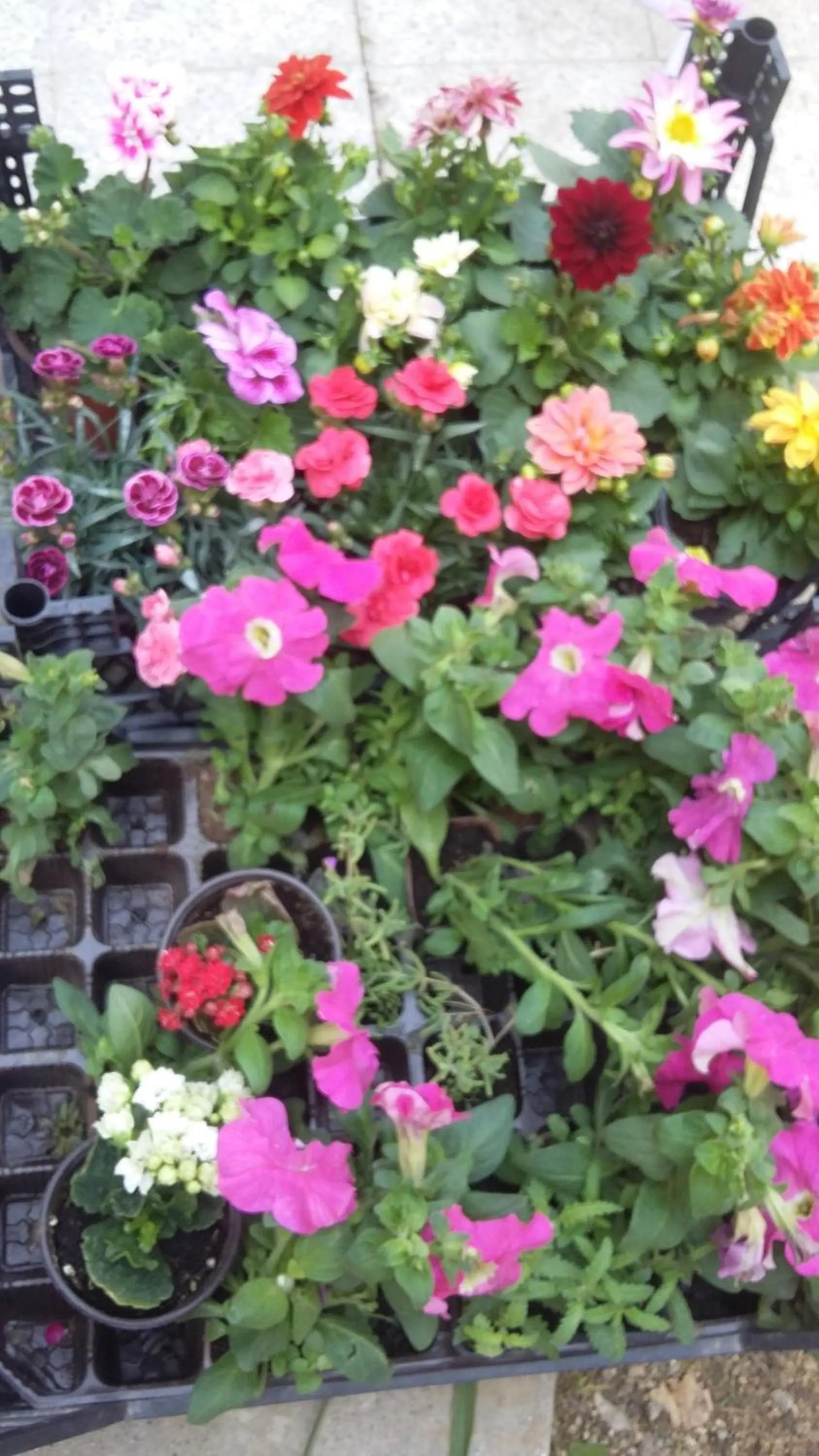 Nimet Hanım Konağı