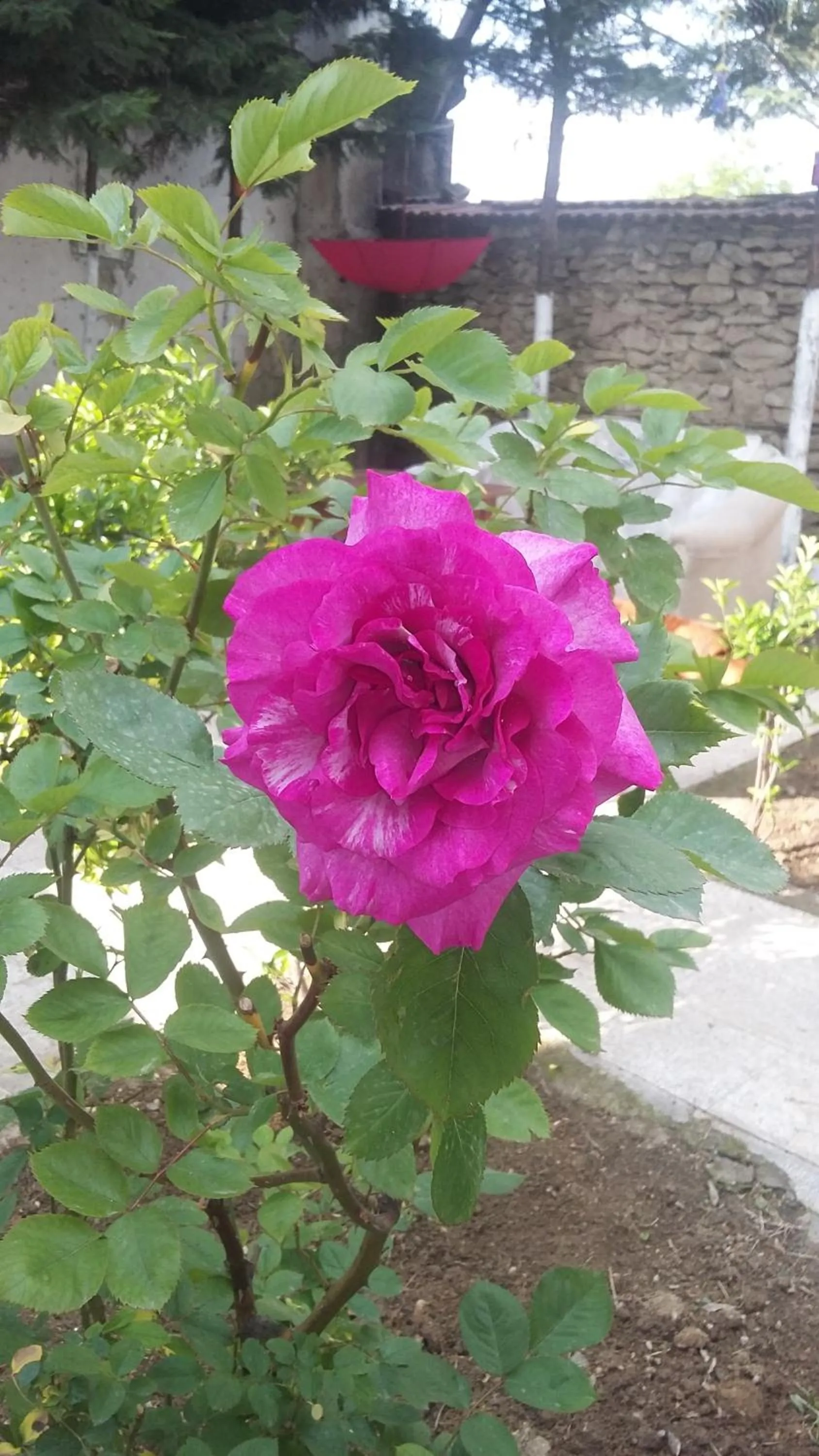 Nimet Hanım Konağı