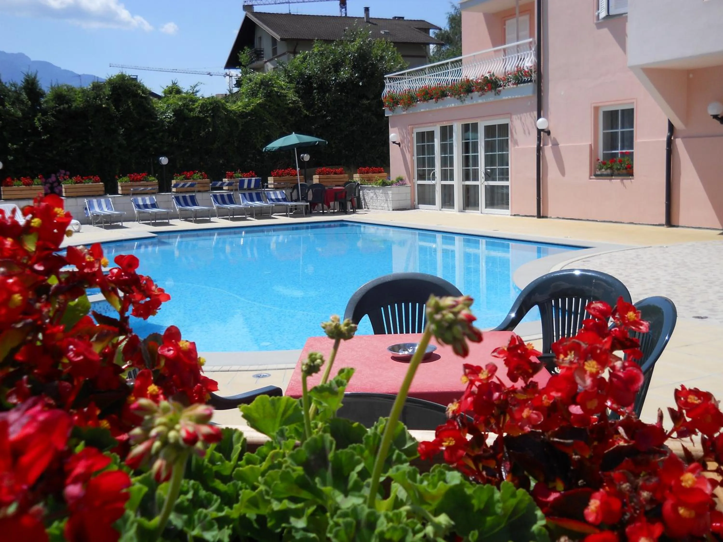 Swimming pool in Hotel Bellaria