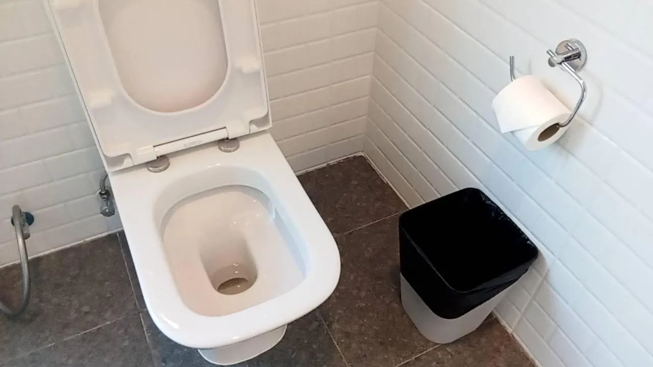 Toilet in Bedspread Hostel