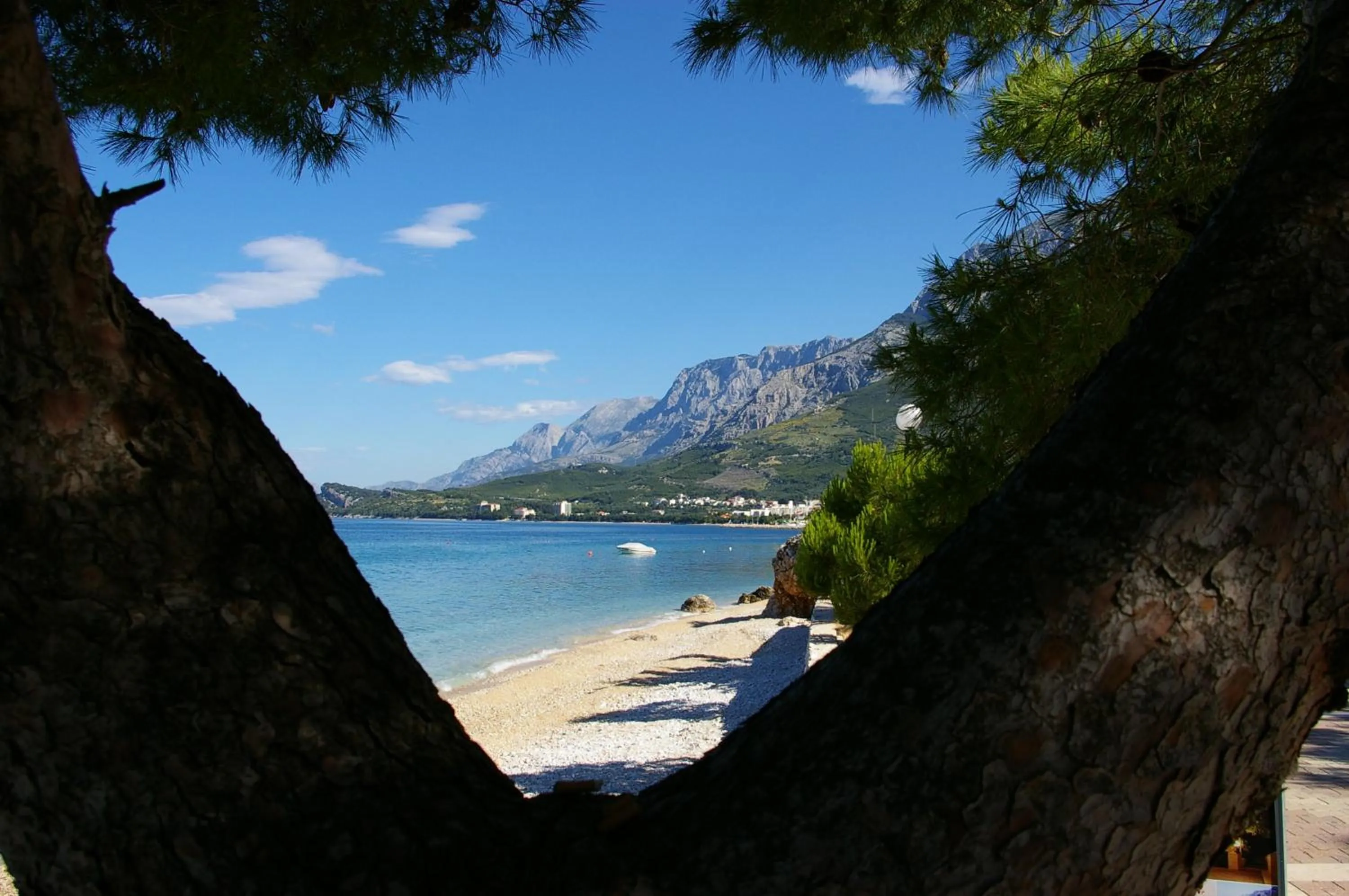 Neighbourhood in Villa Andrea