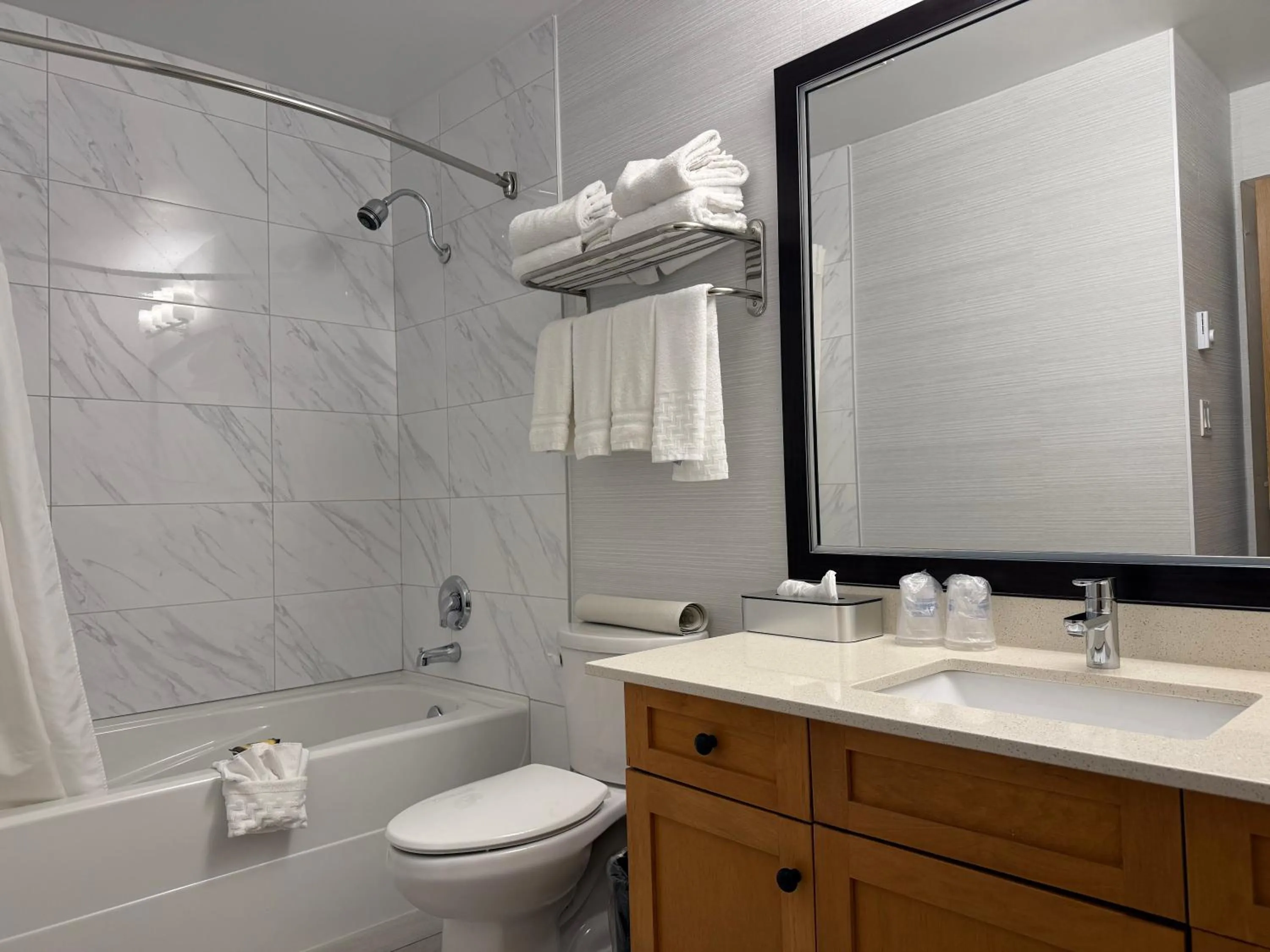 Bathroom in Best Western PLUS Langley Inn