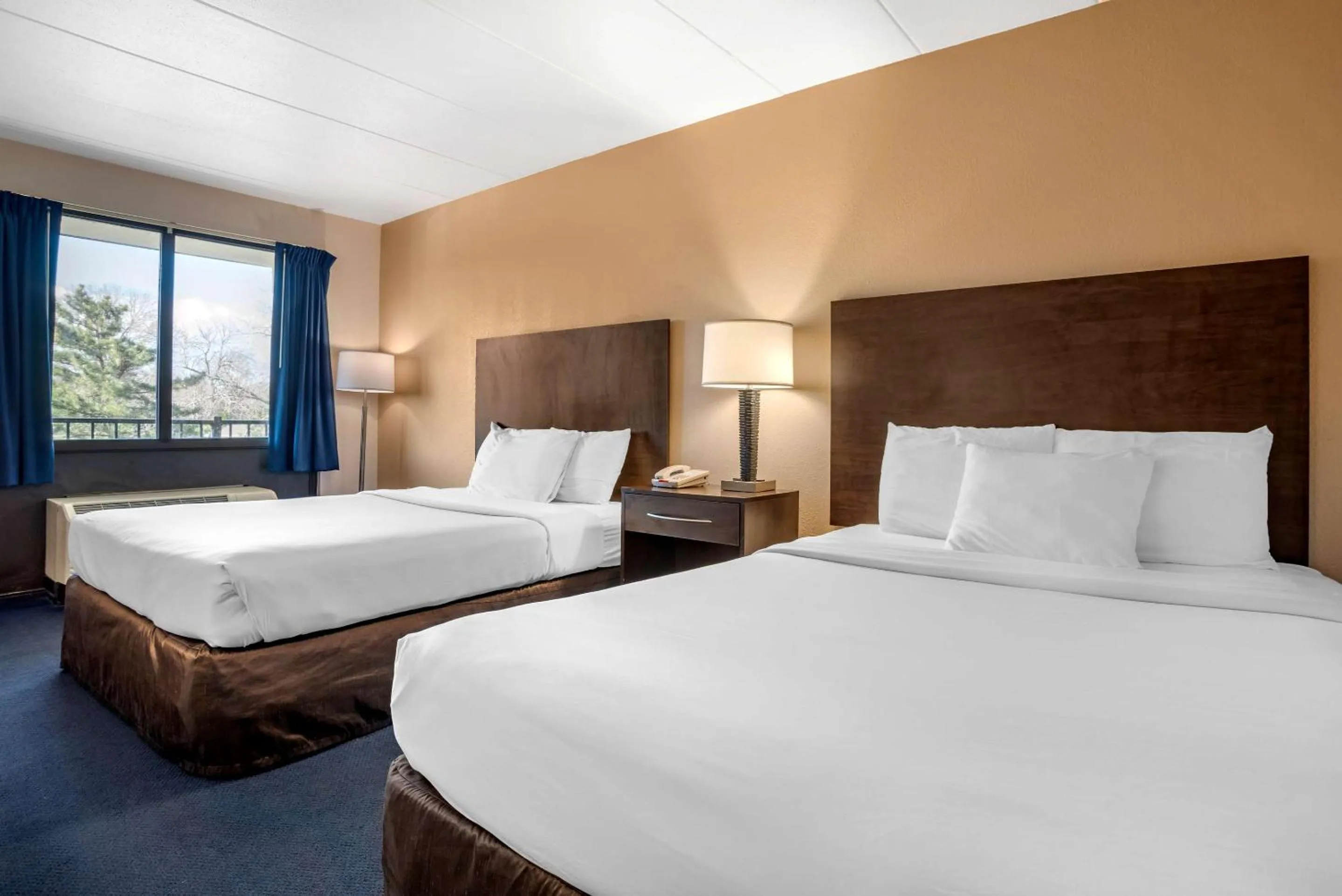 Bedroom, Bed in Econo Lodge Inn & Suites Rehoboth Beach