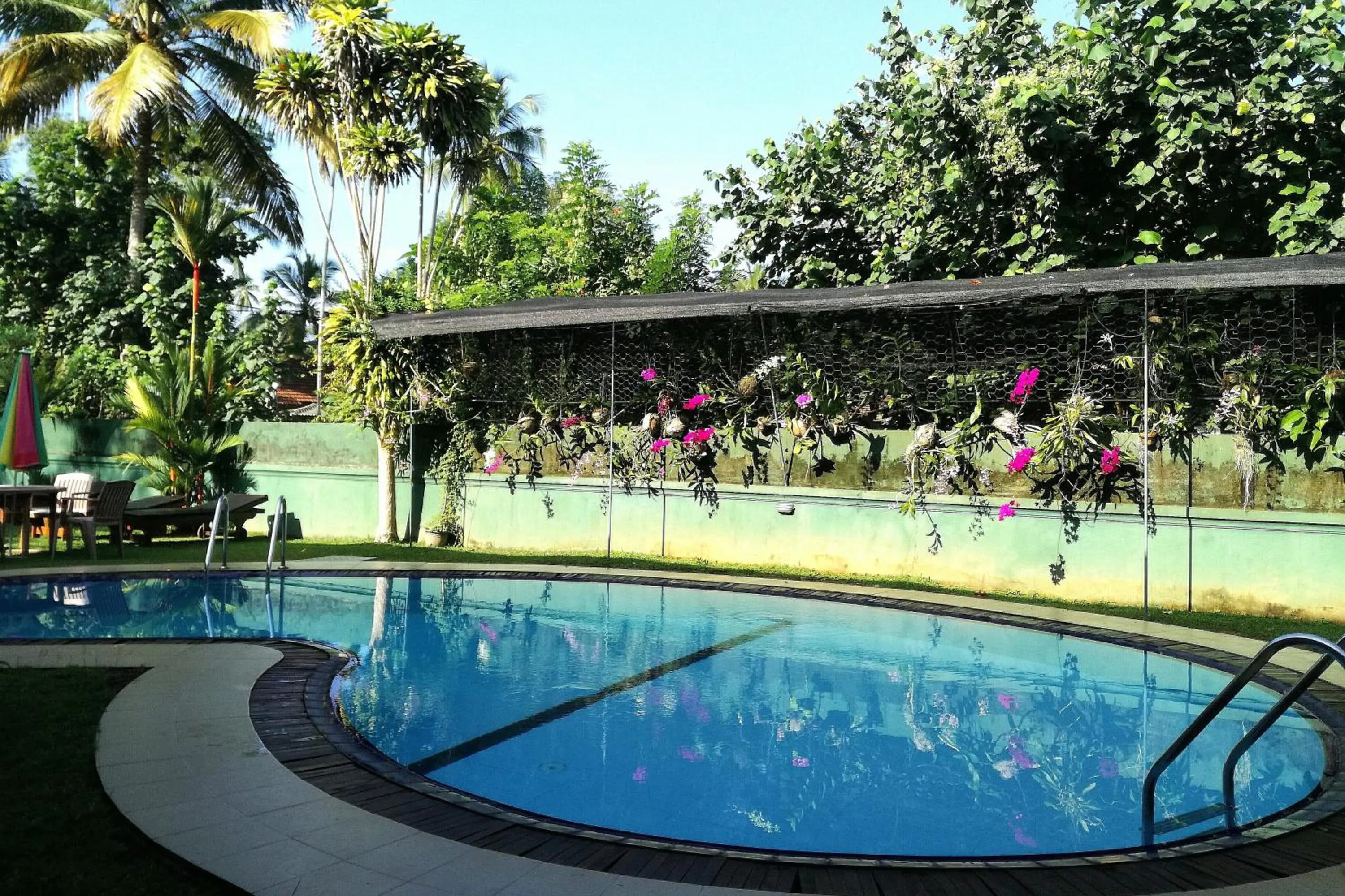 Garden in Haus Berlin