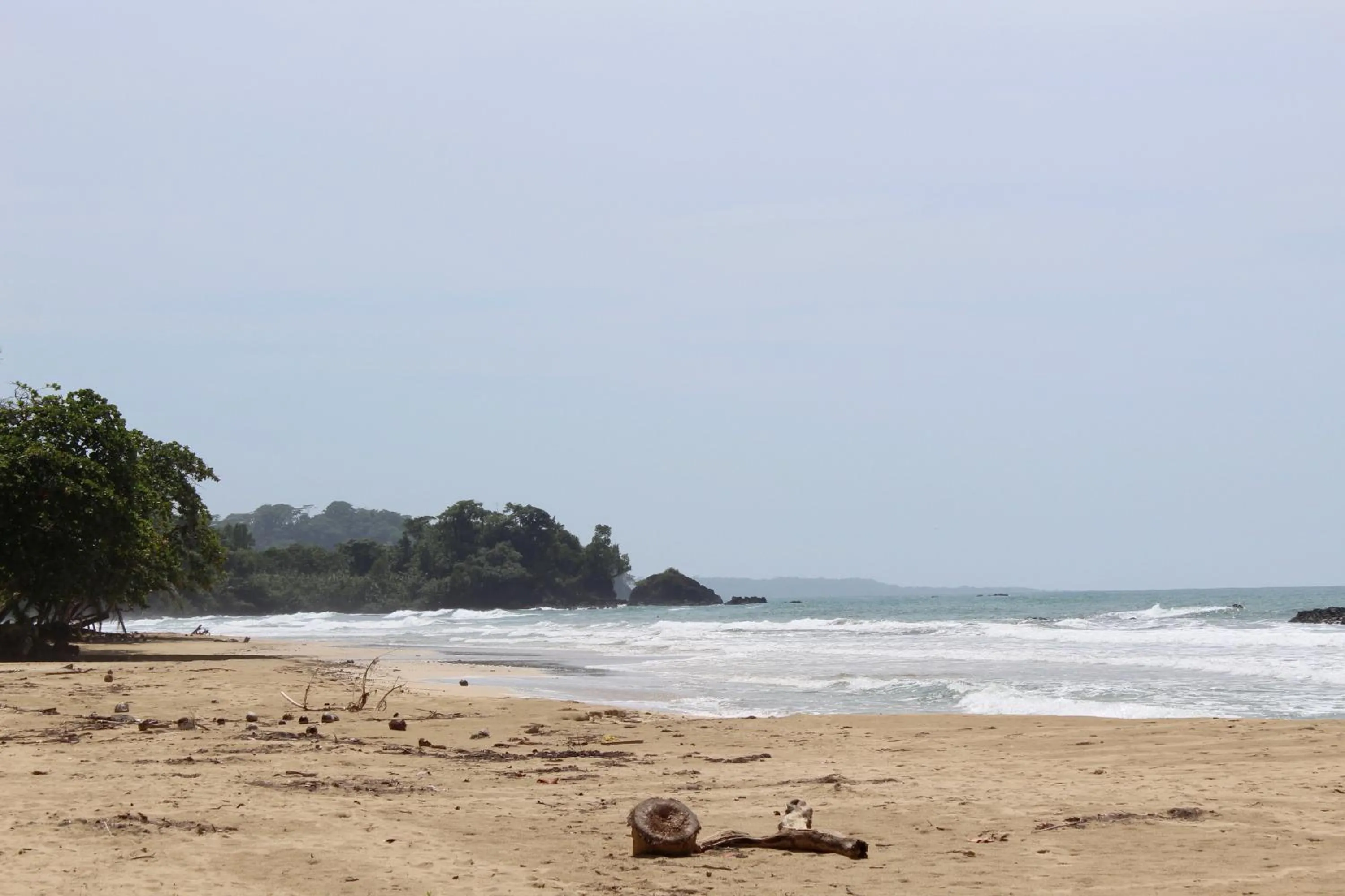 Natural landscape in Villa F&B