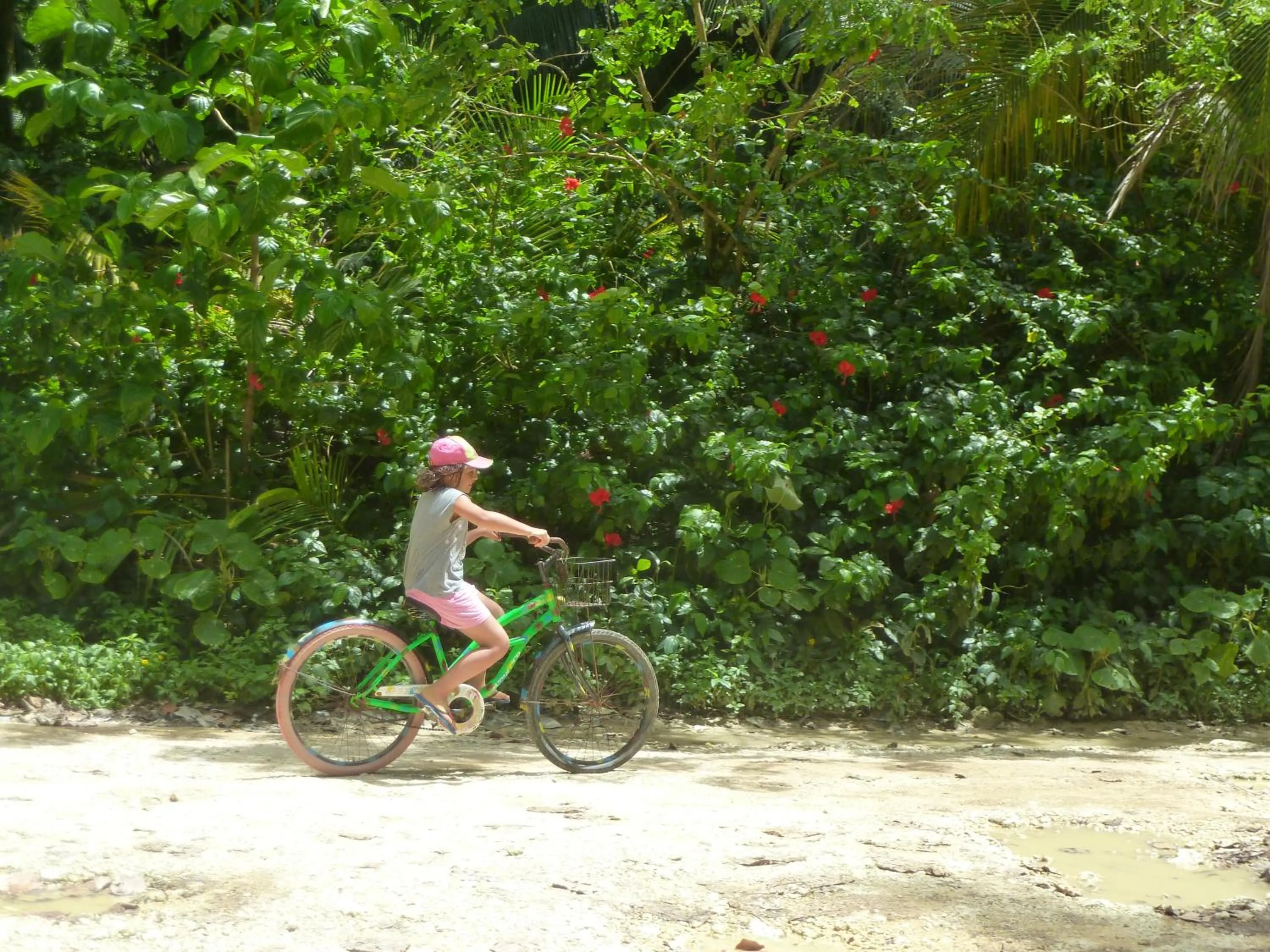 Activities in Villa F&B