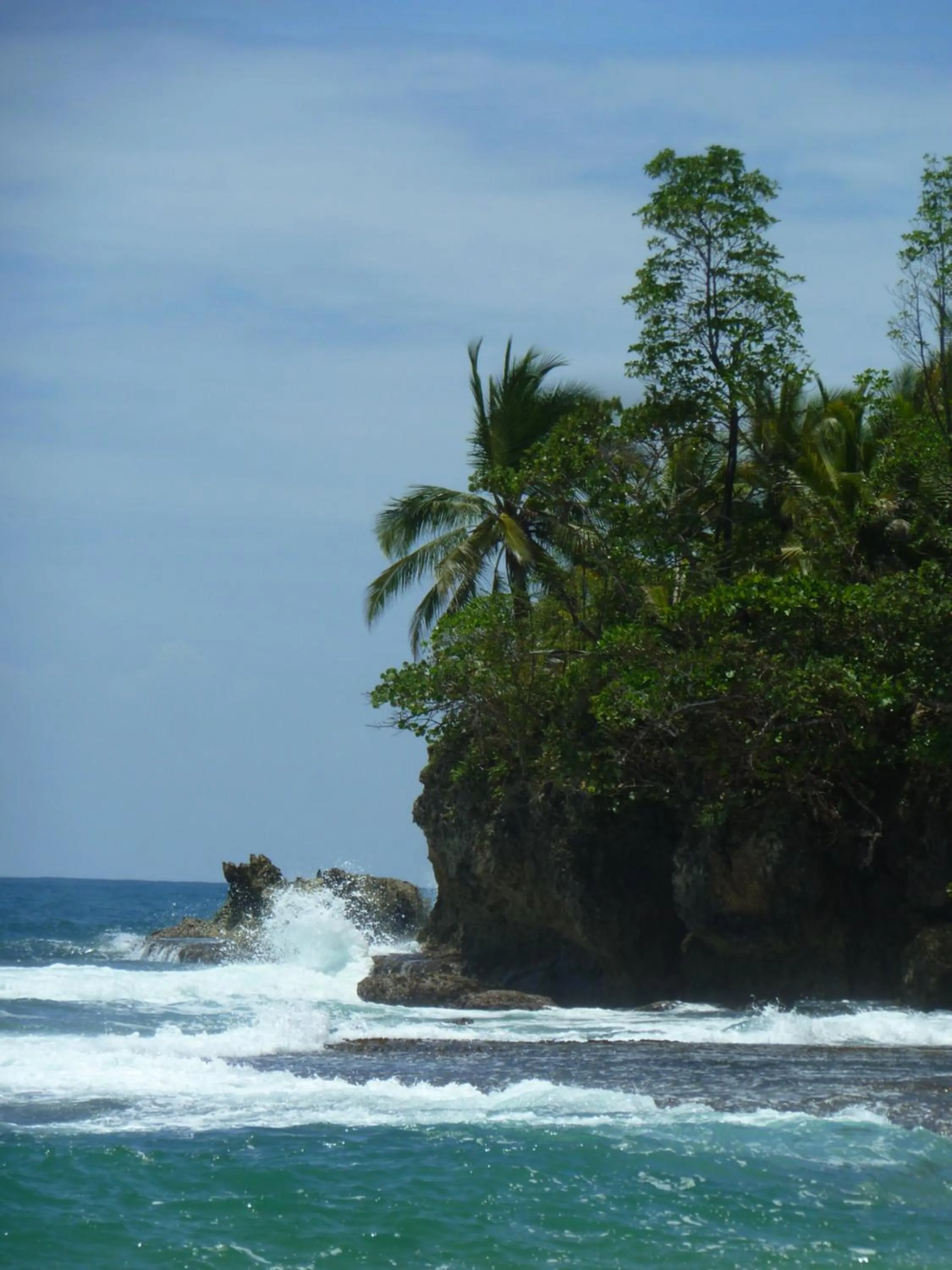 Natural landscape in Villa F&B