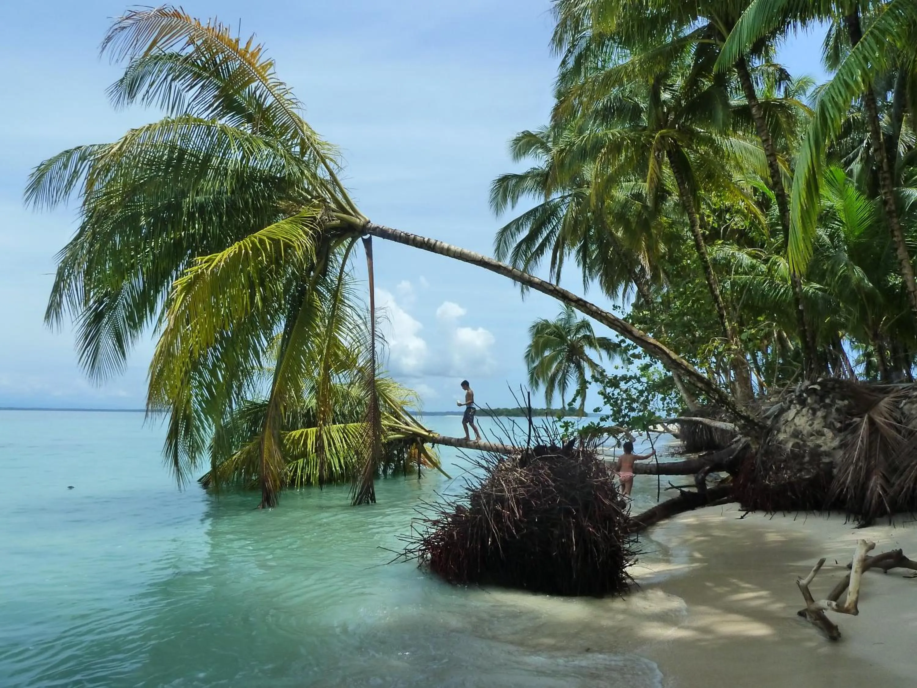 Natural landscape in Villa F&B