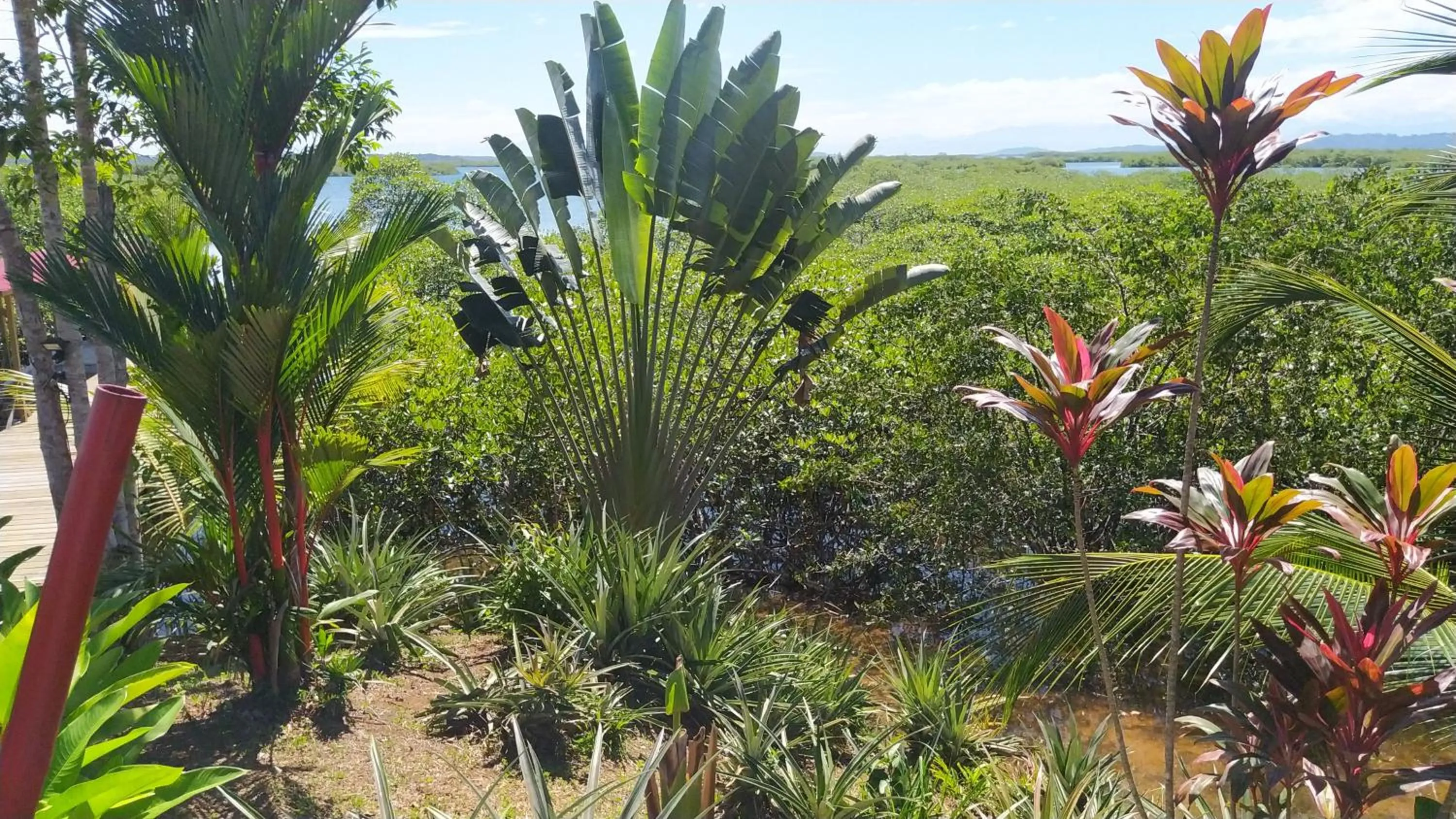 Natural landscape in Villa F&B