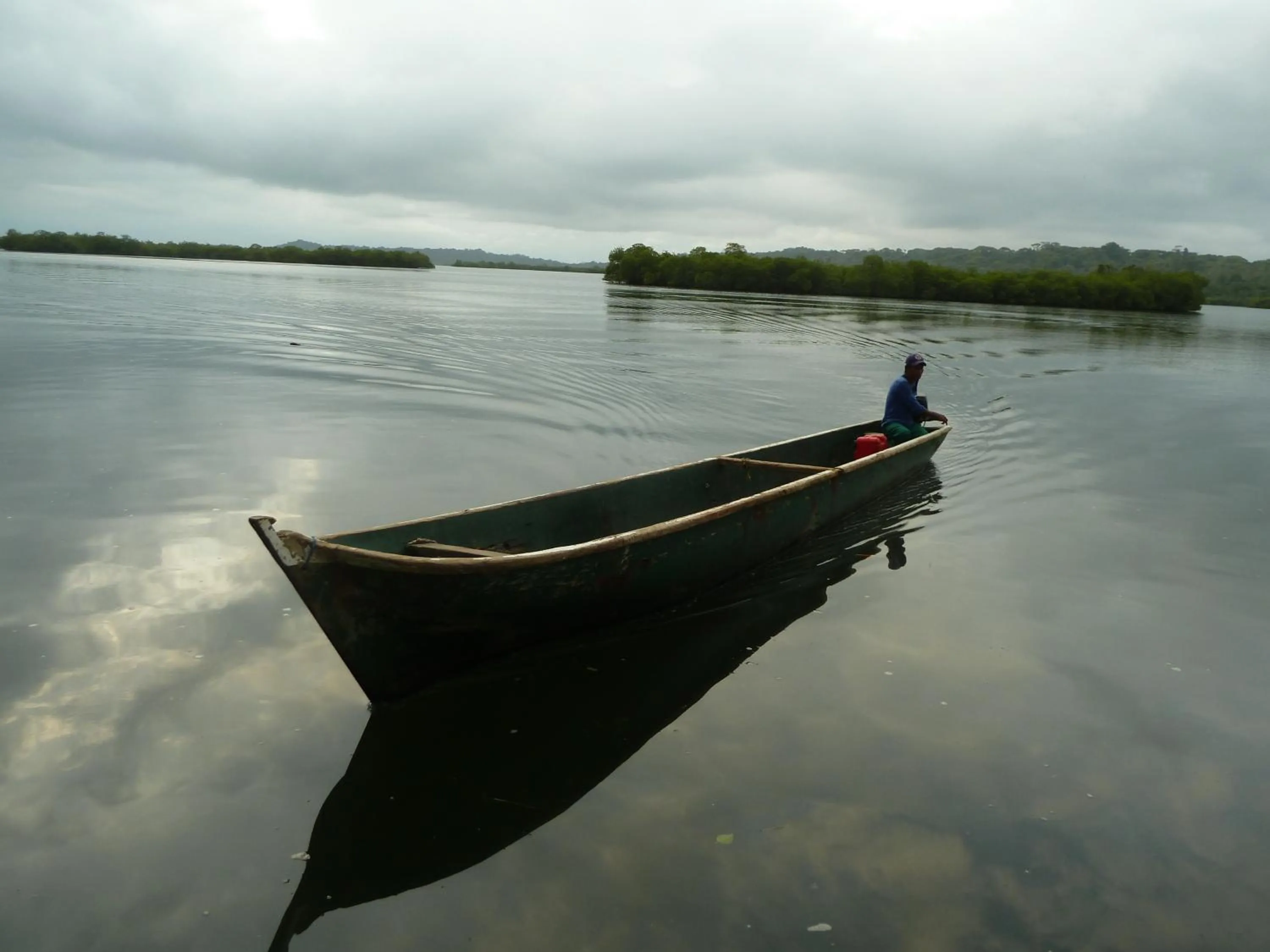 Activities in Villa F&B