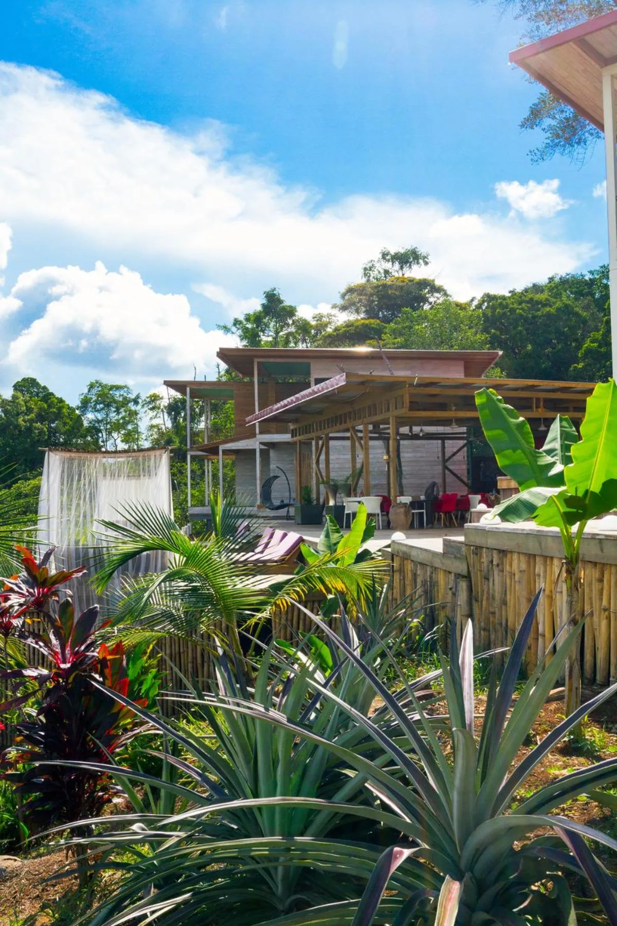 Restaurant/places to eat in Villa F&B