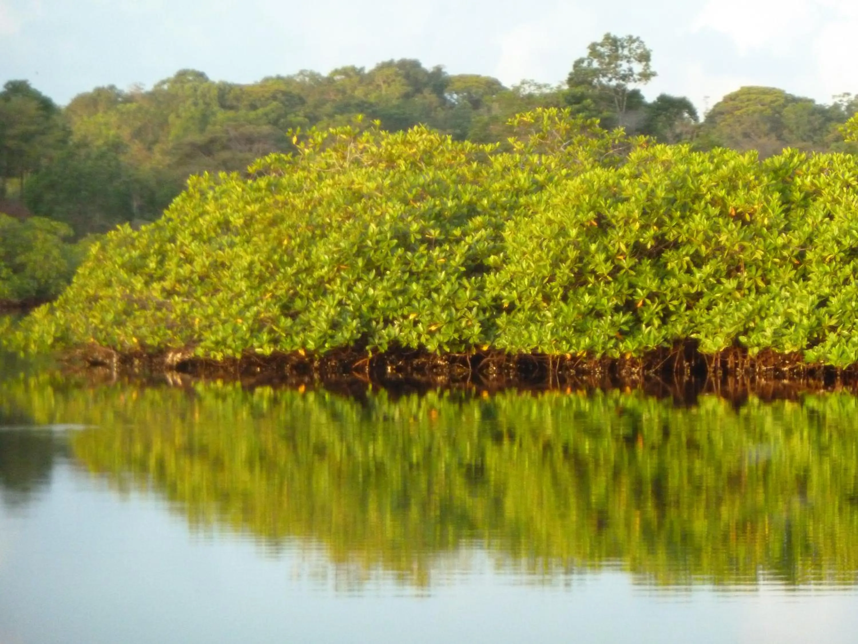 Natural landscape in Villa F&B