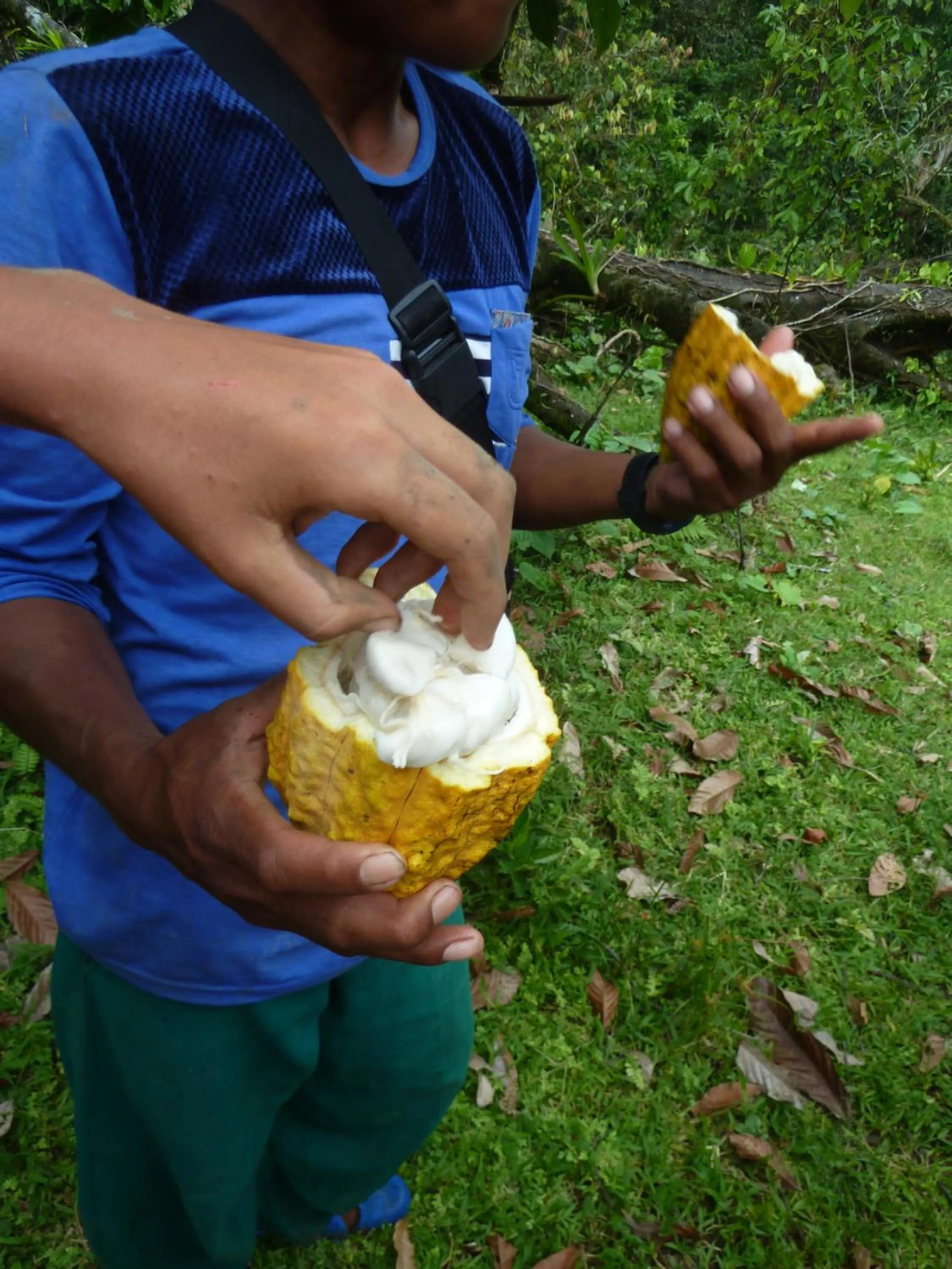 Activities in Villa F&B