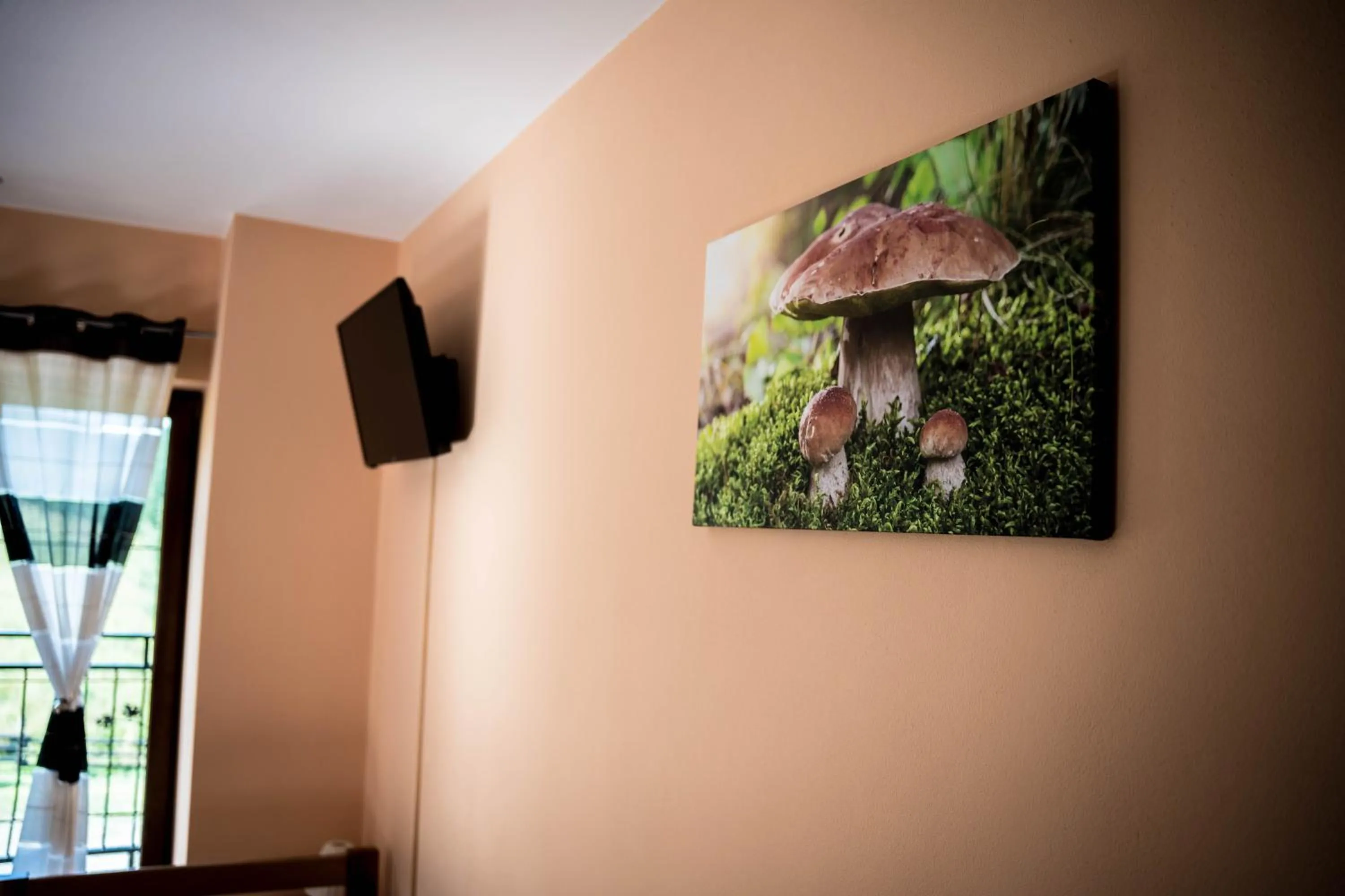 TV and multimedia in Chata "na Końcu" Świata