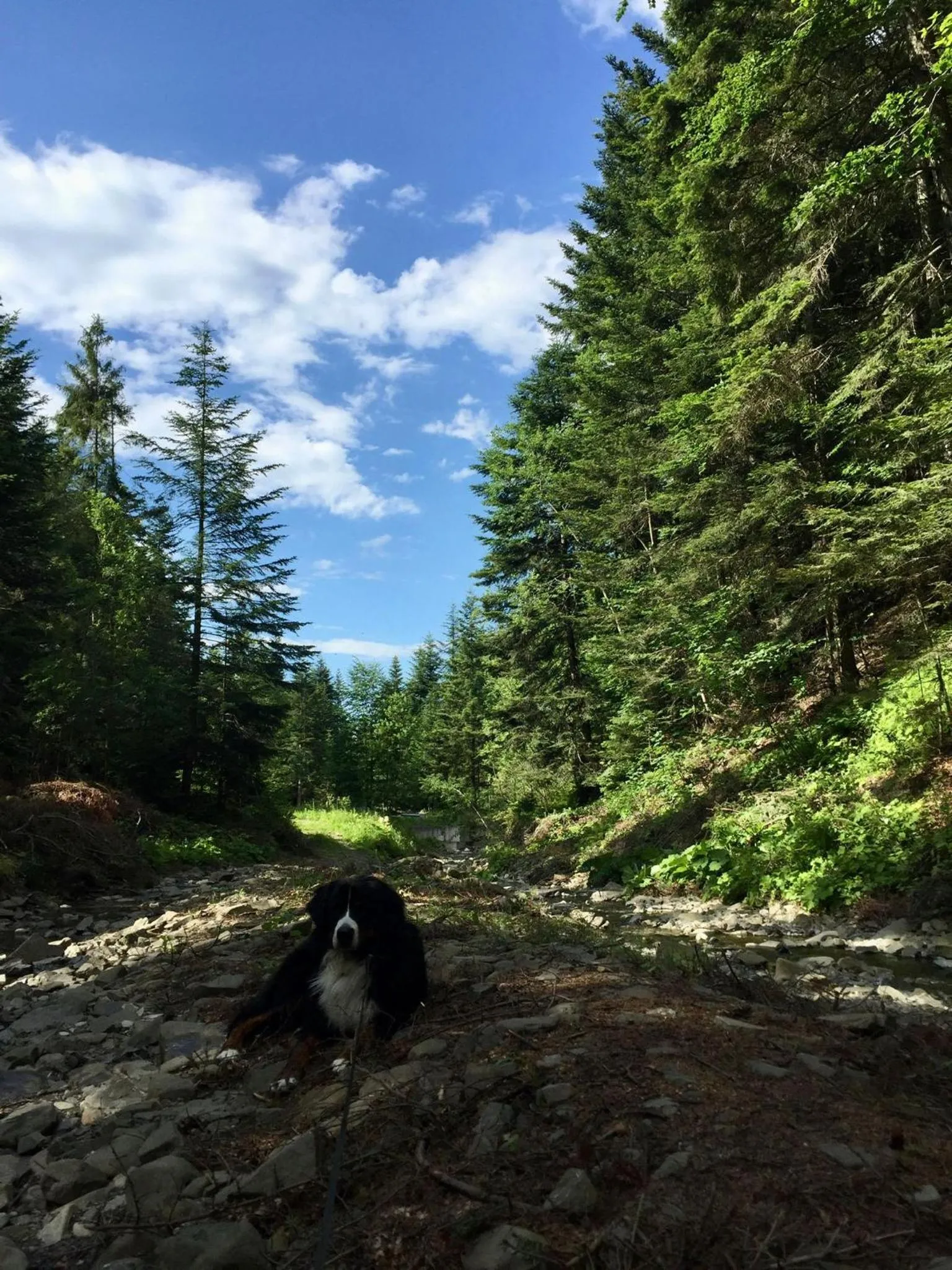 Neighbourhood in Chata "na Końcu" Świata